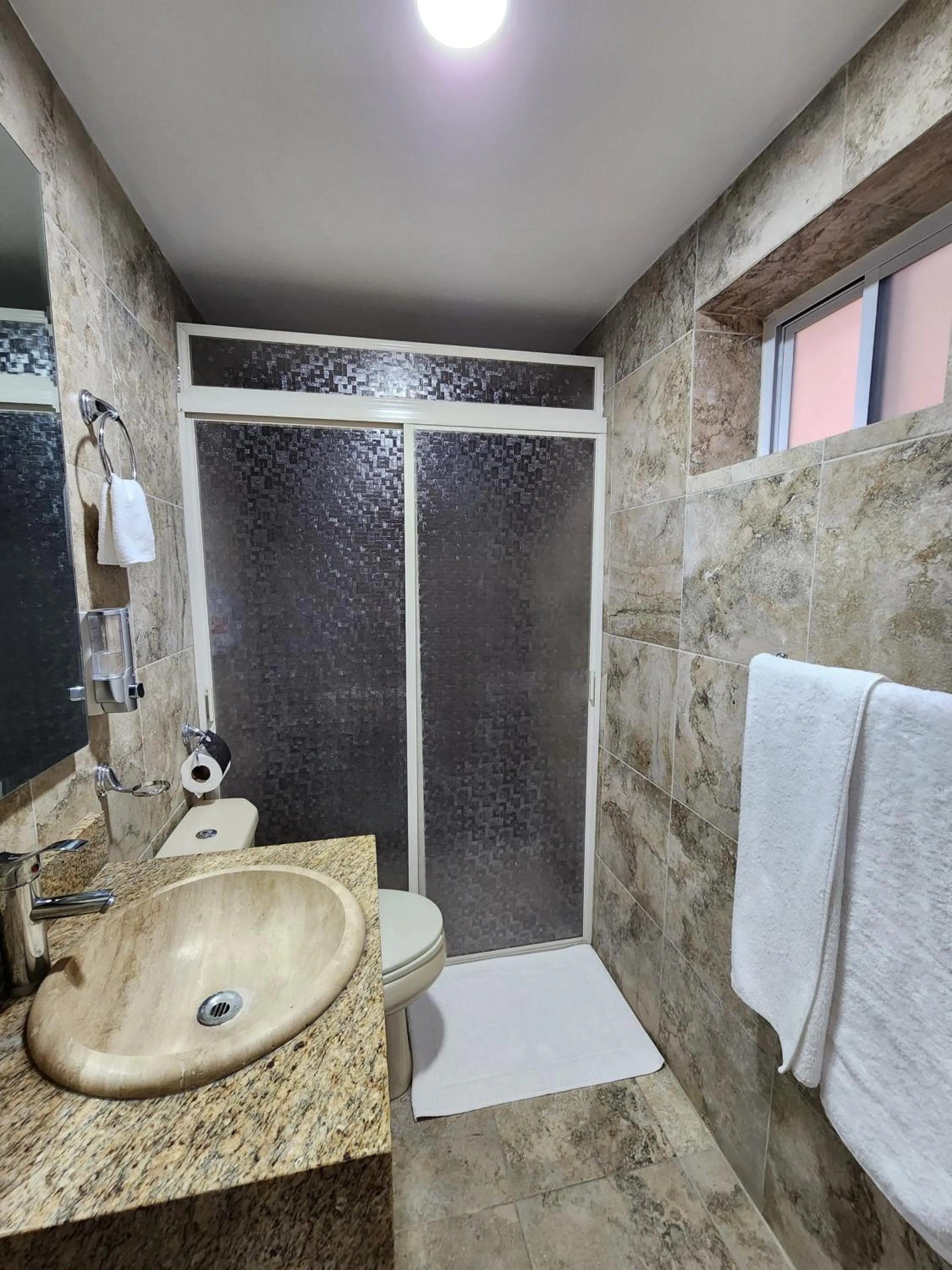 Shower in Hotel Roque