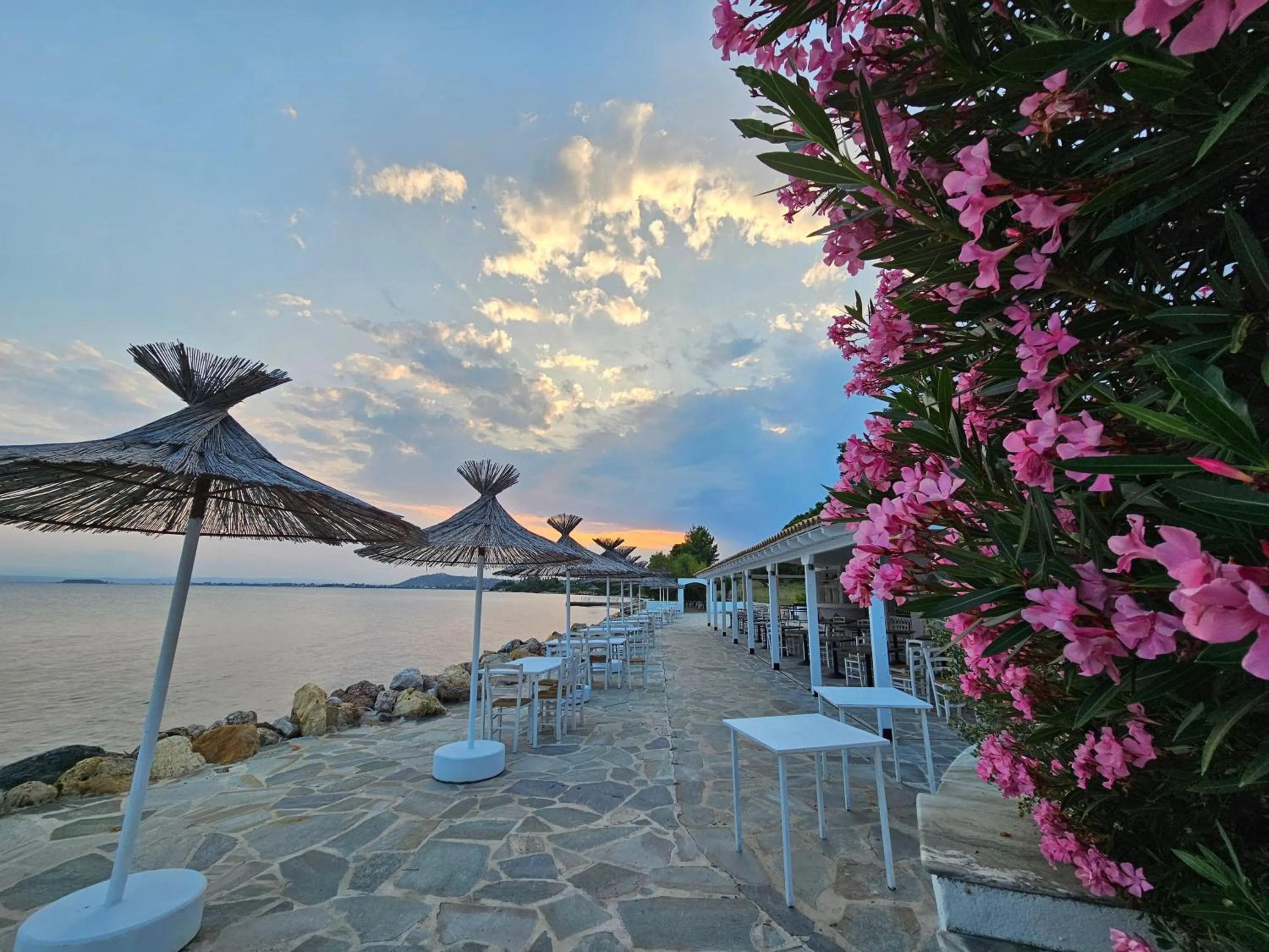 Restaurant/places to eat in O Paradise beach Resort and Spa