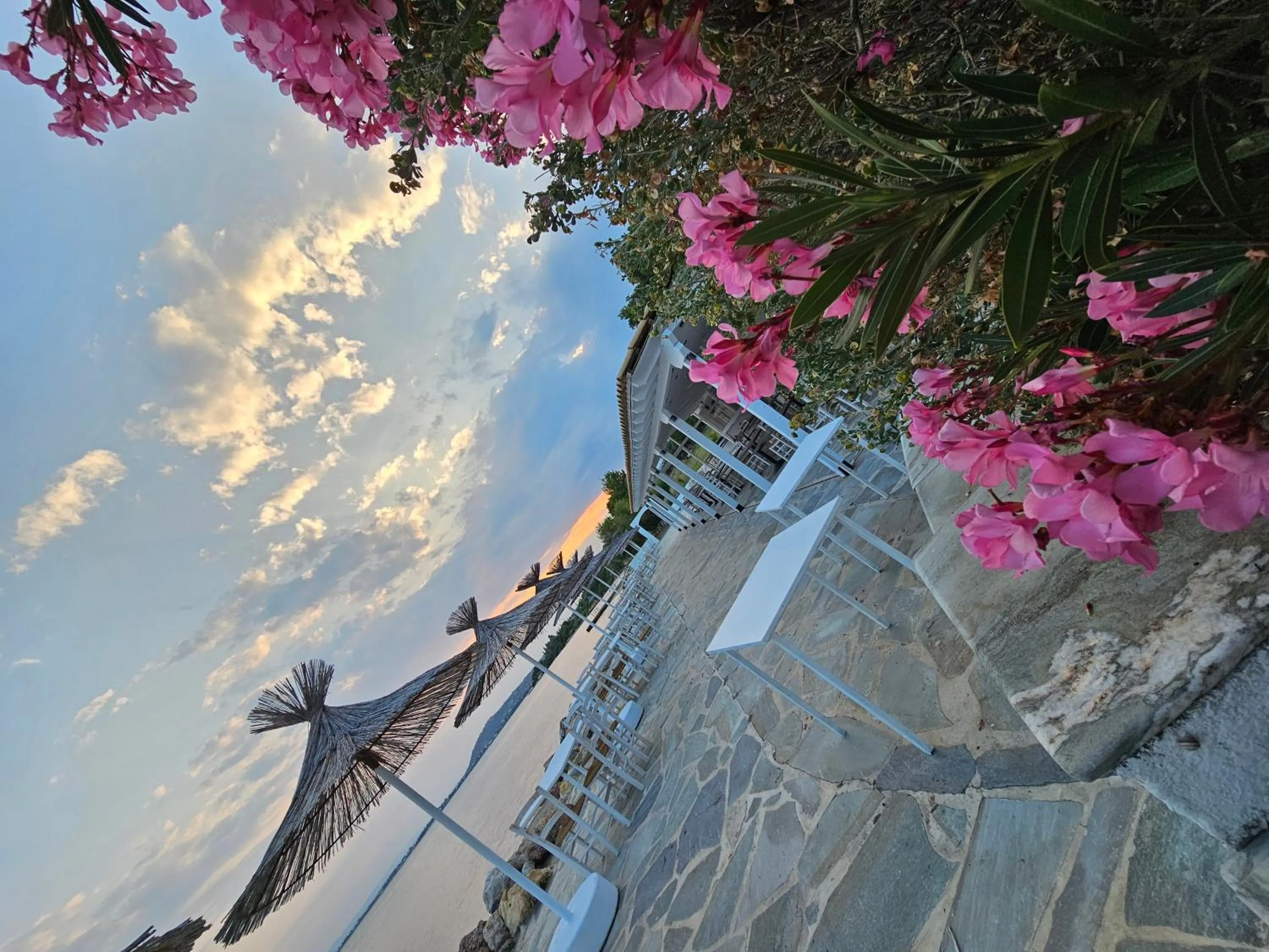 Restaurant/places to eat in O Paradise beach Resort and Spa