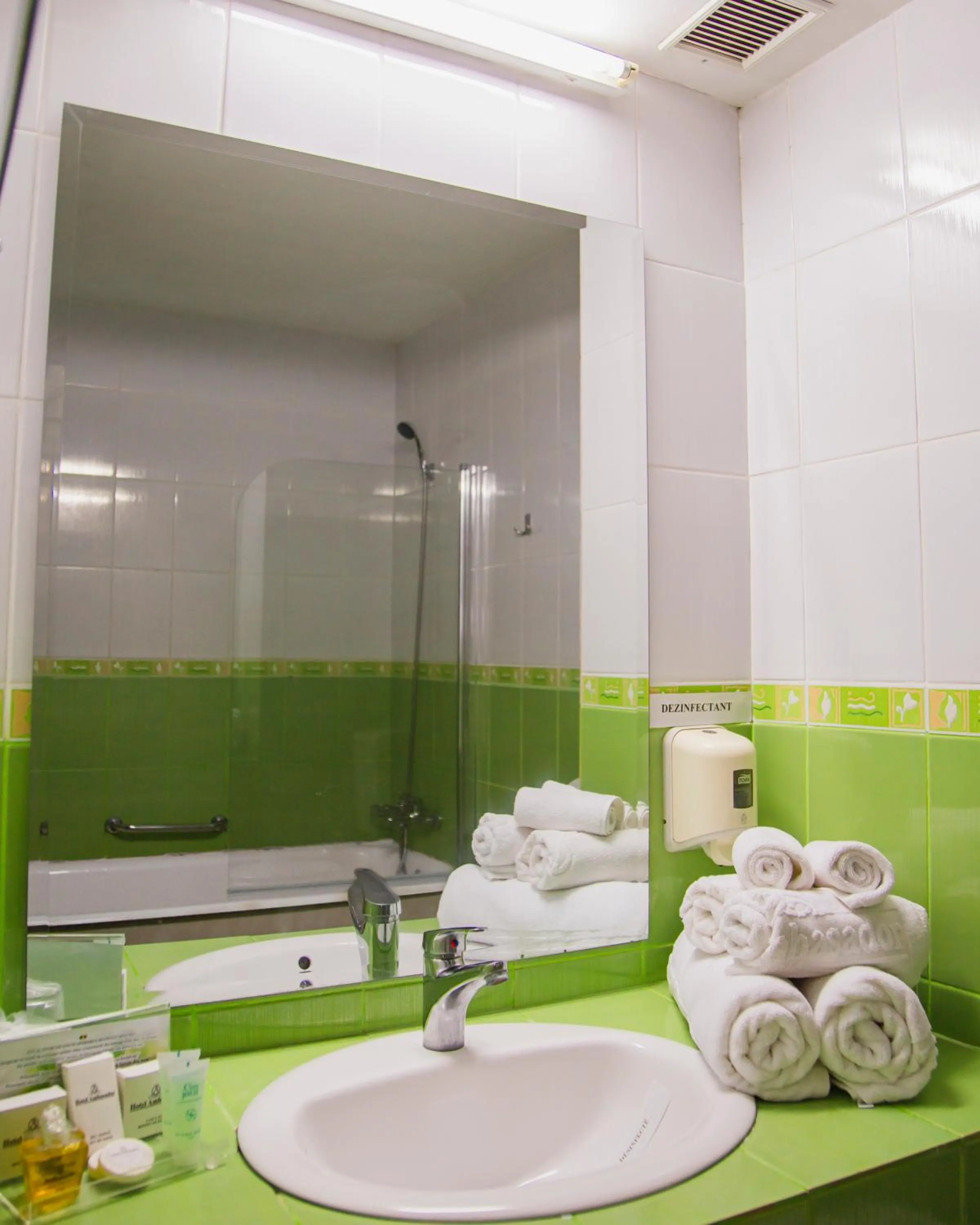 Bathroom in Hotel Ambasador Mamaia