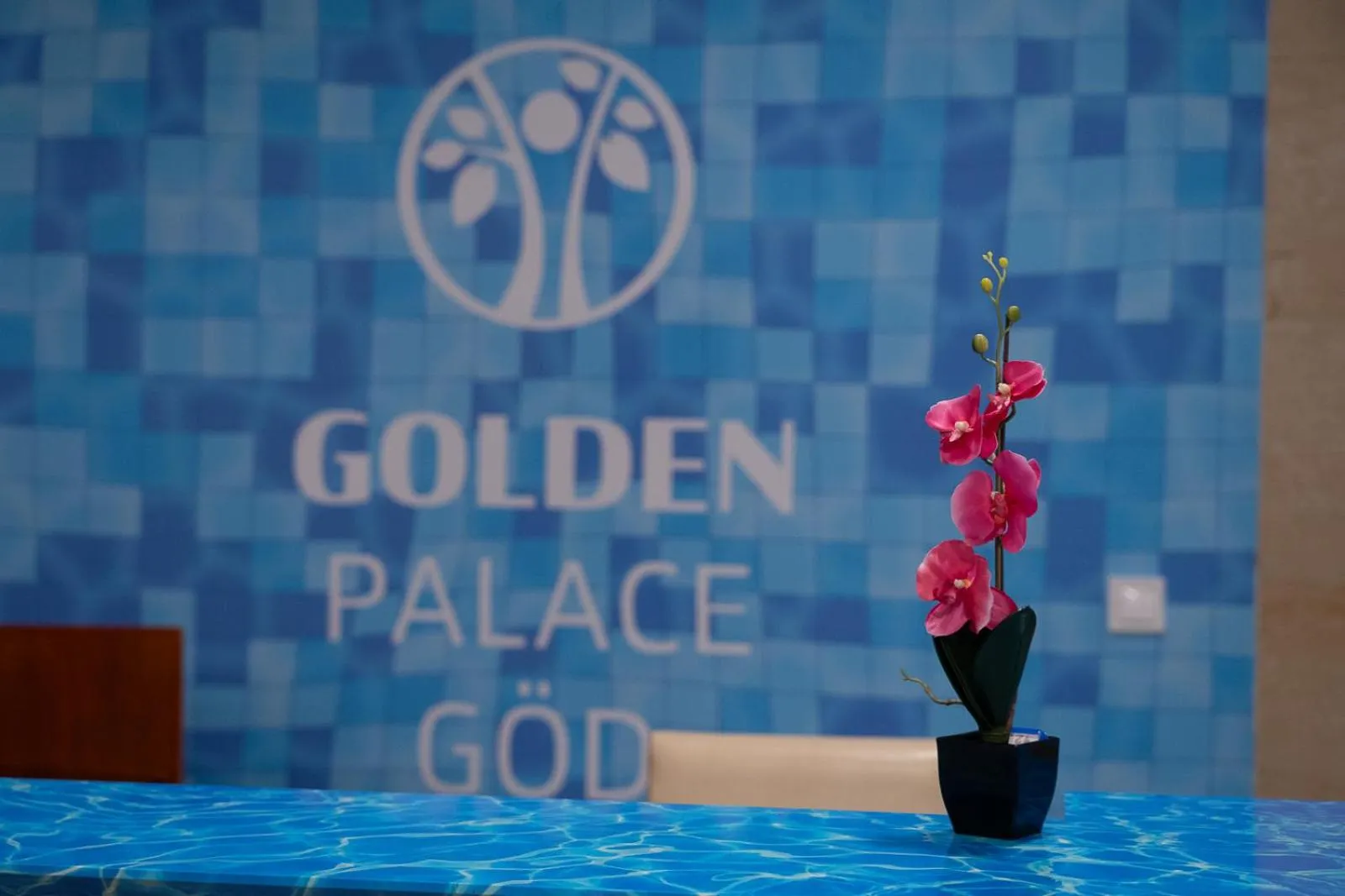 Spa and wellness centre/facilities in Hotel Golden Palace