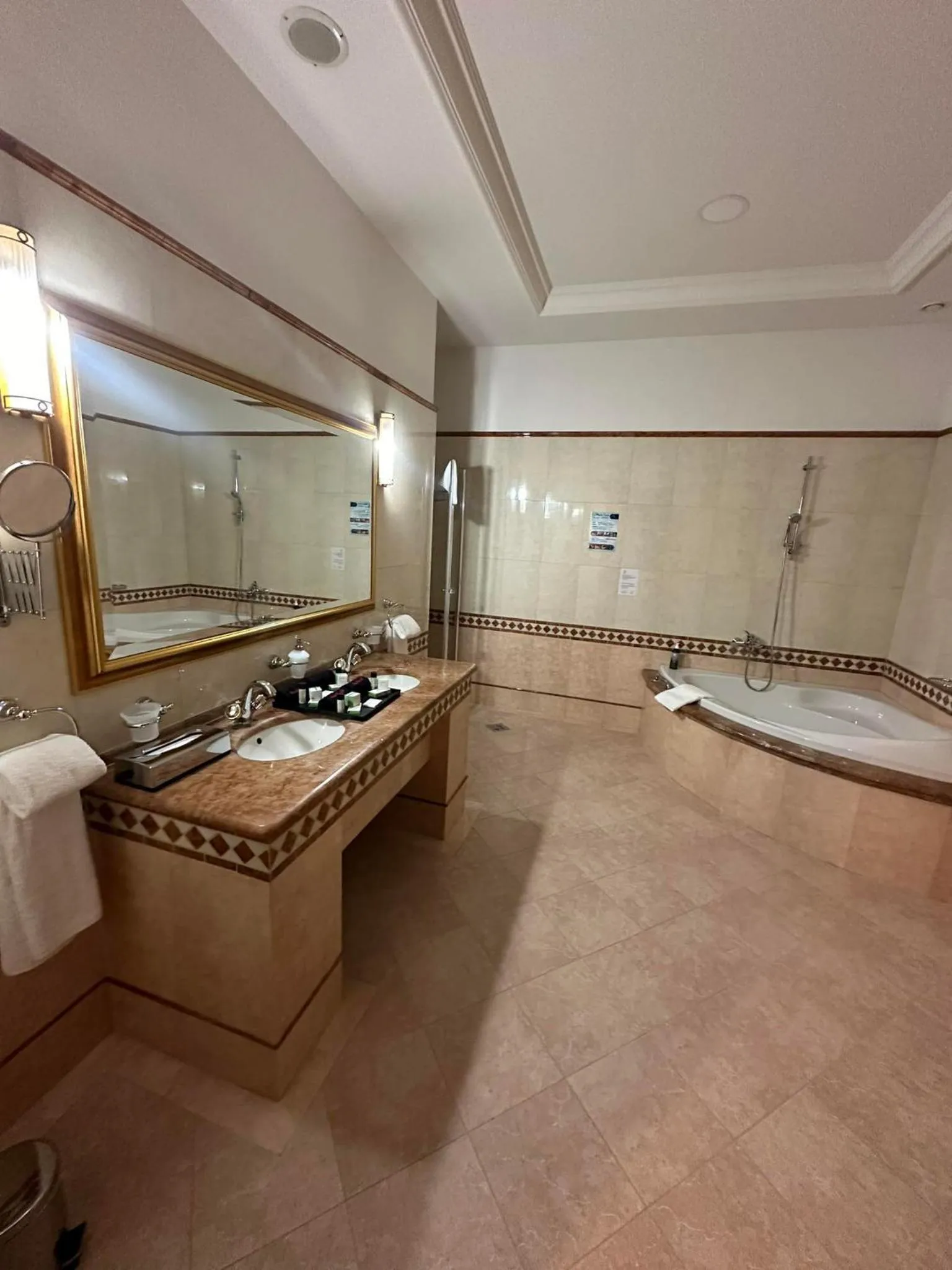 Shower in Hotel Golden Palace