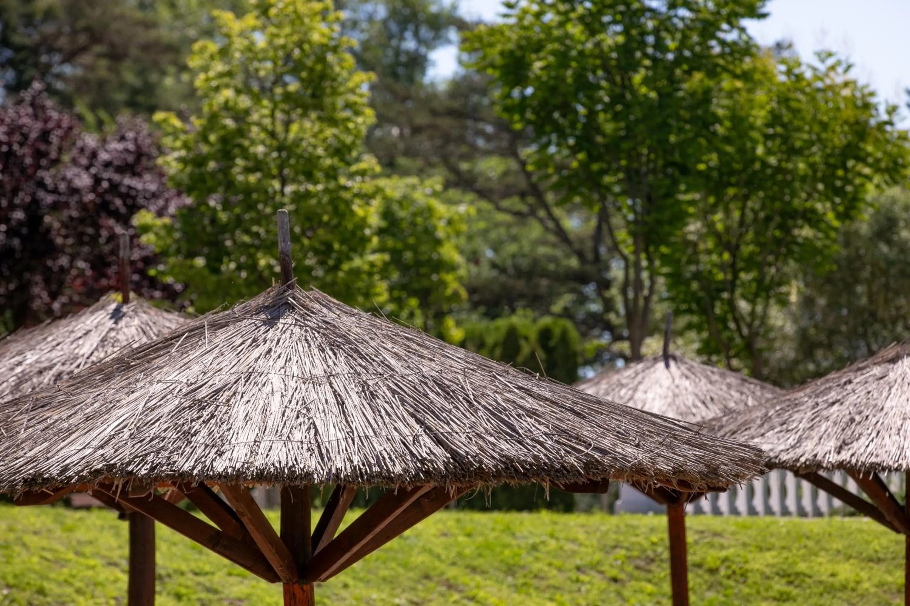 Natural landscape in Hotel Golden Palace