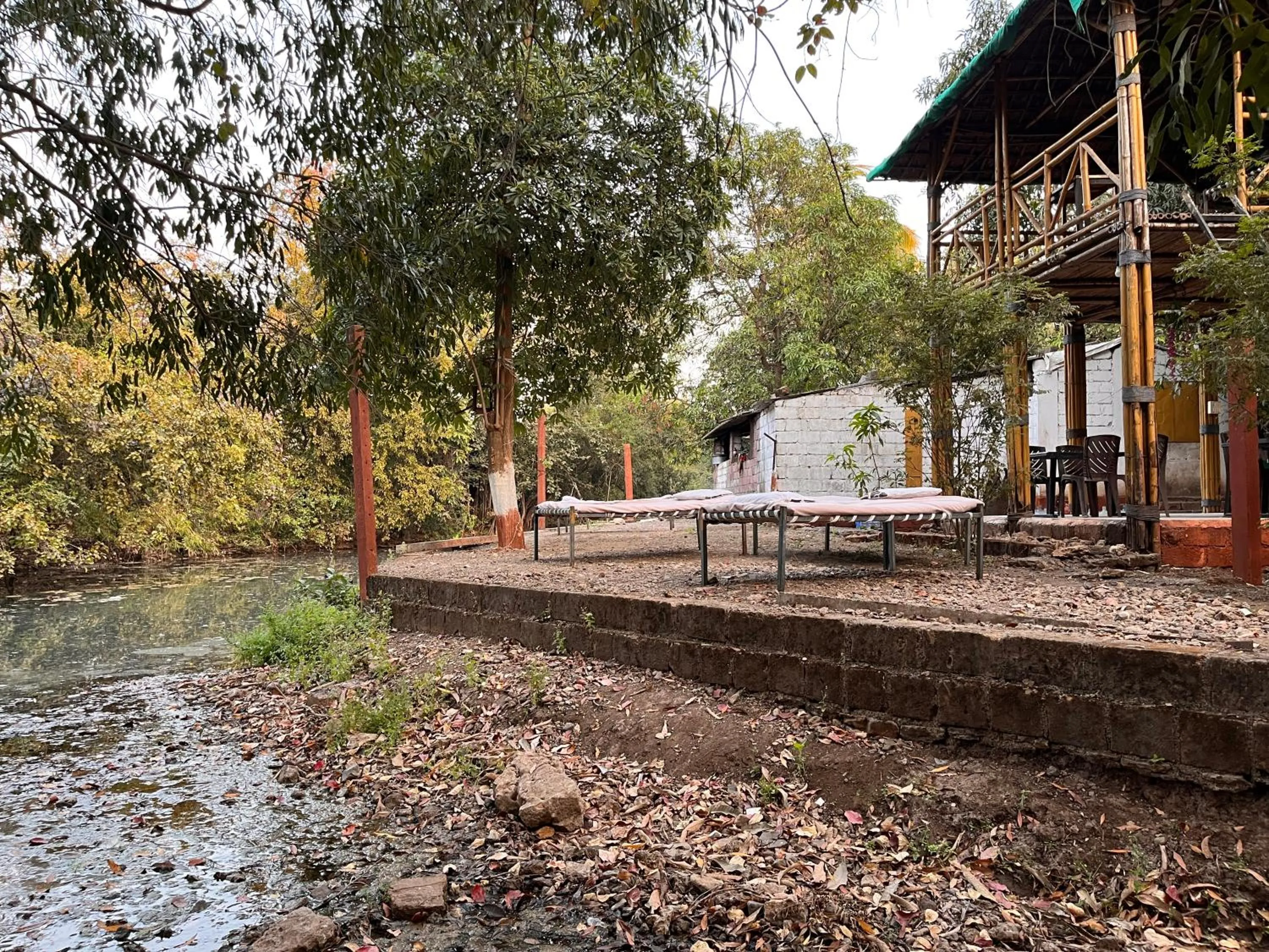 Natural landscape in Brook Ville