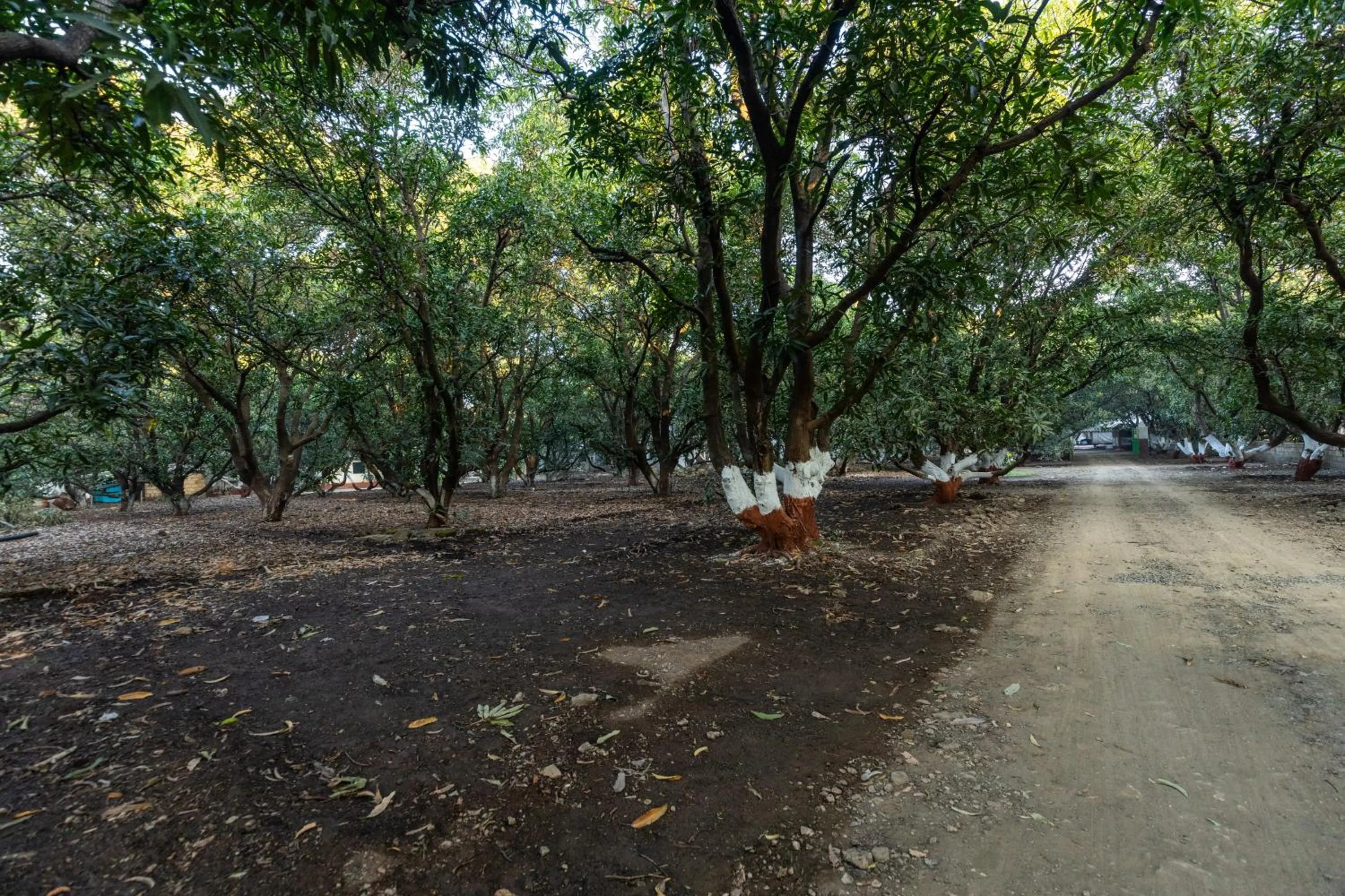 Natural landscape in Brook Ville
