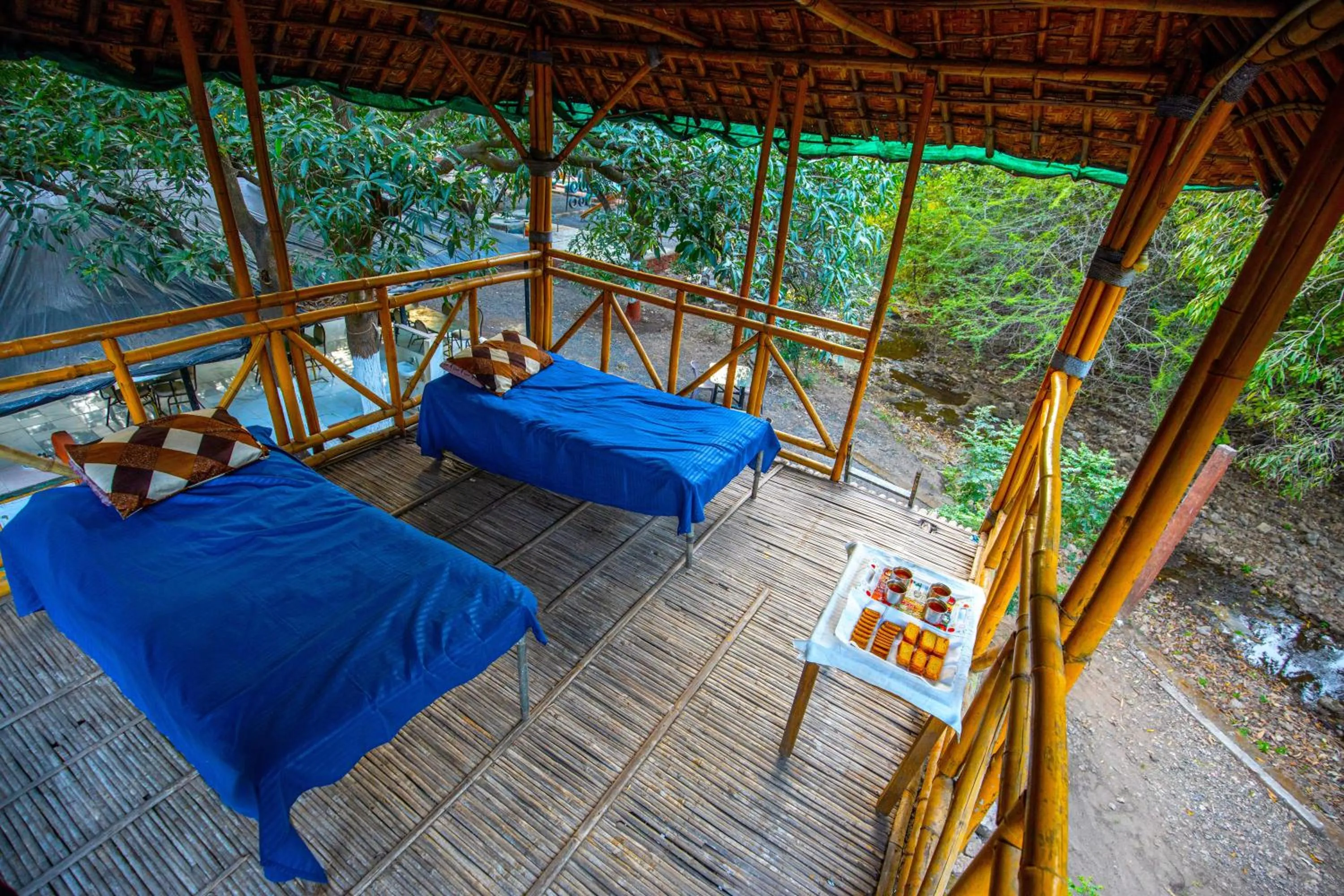 Natural landscape in Brook Ville