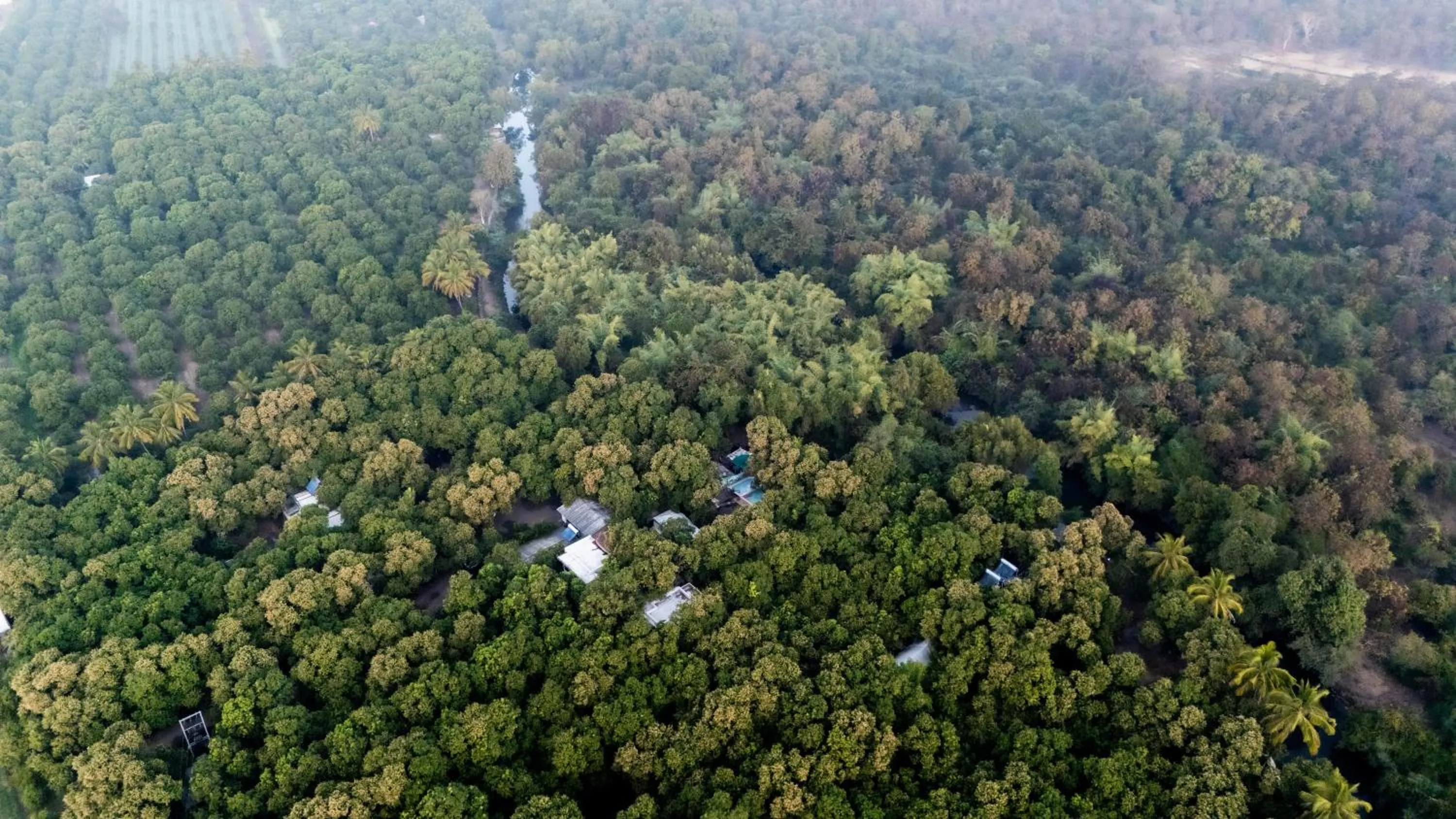 Natural landscape in Brook Ville