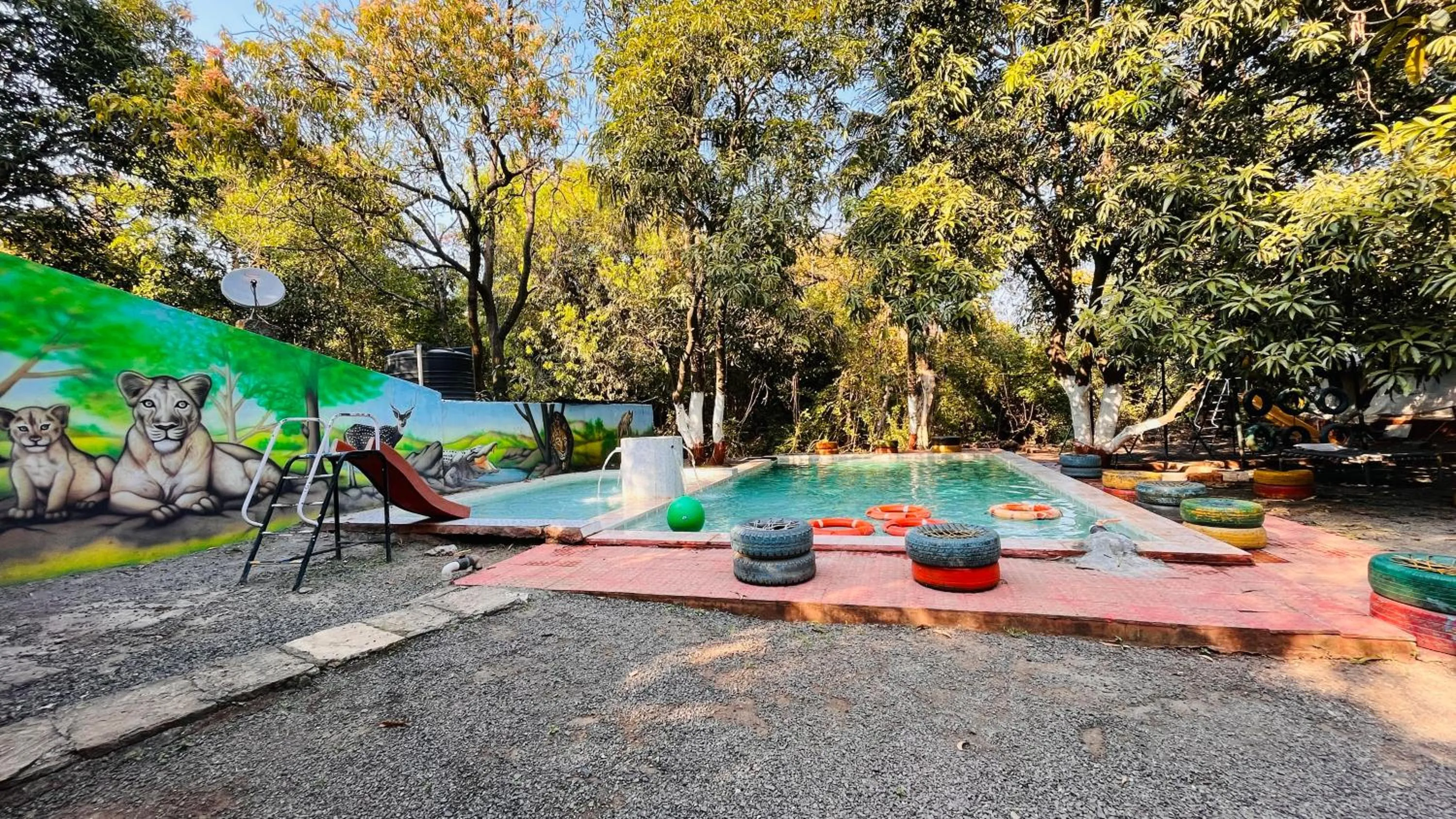 Spring in Brook Ville