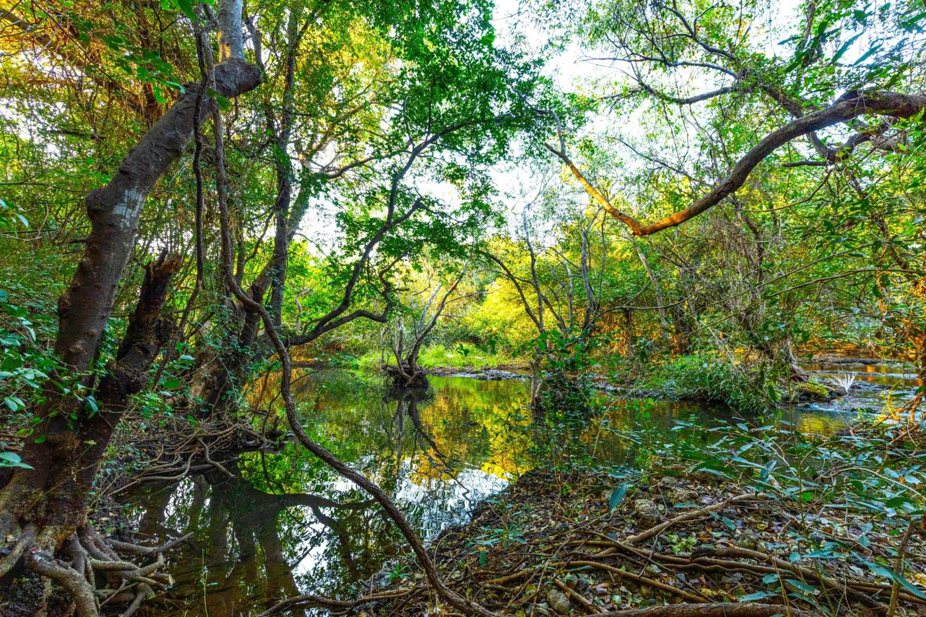 Lake view in Brook Ville