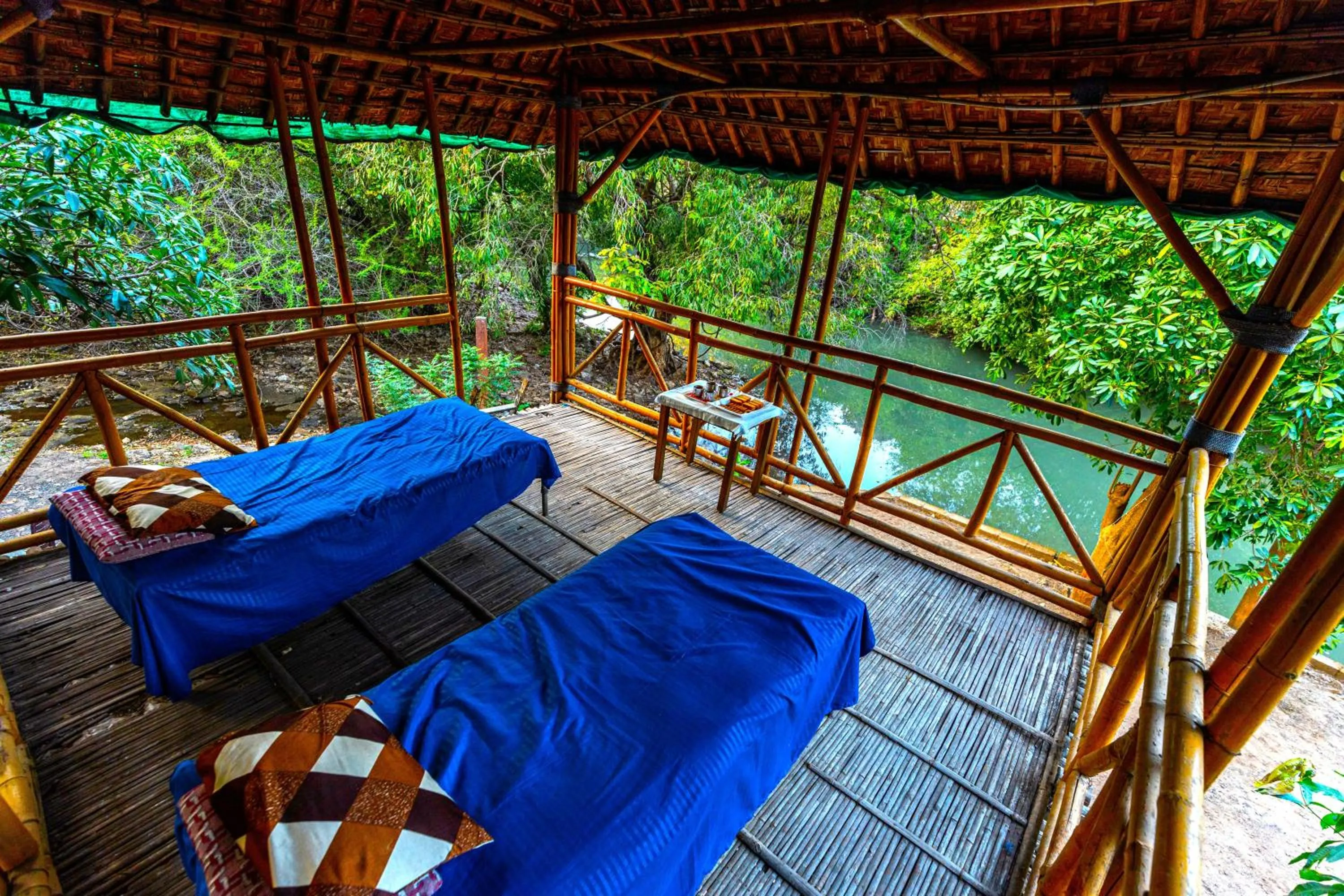 Natural landscape in Brook Ville