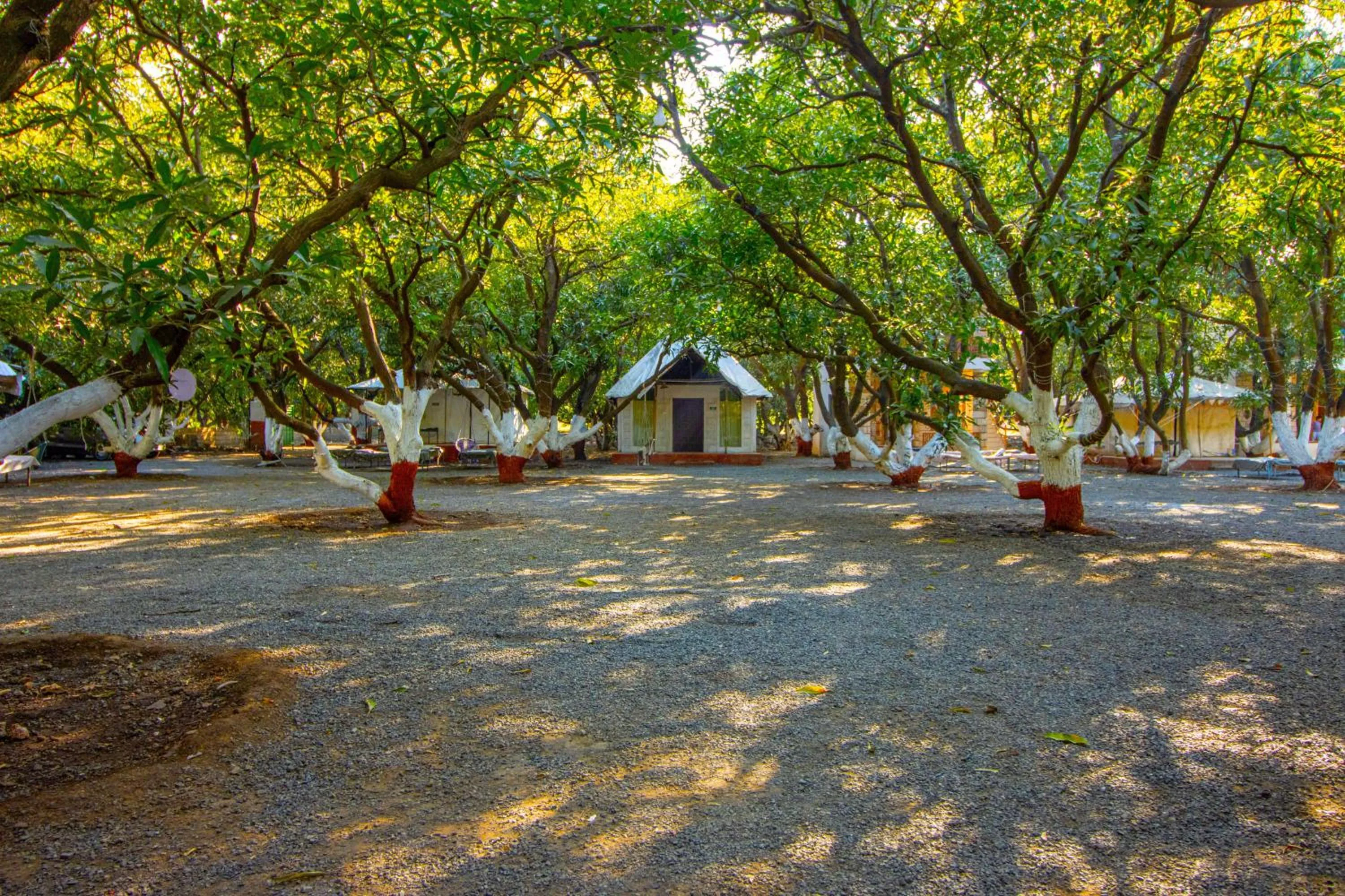 Garden view in Brook Ville