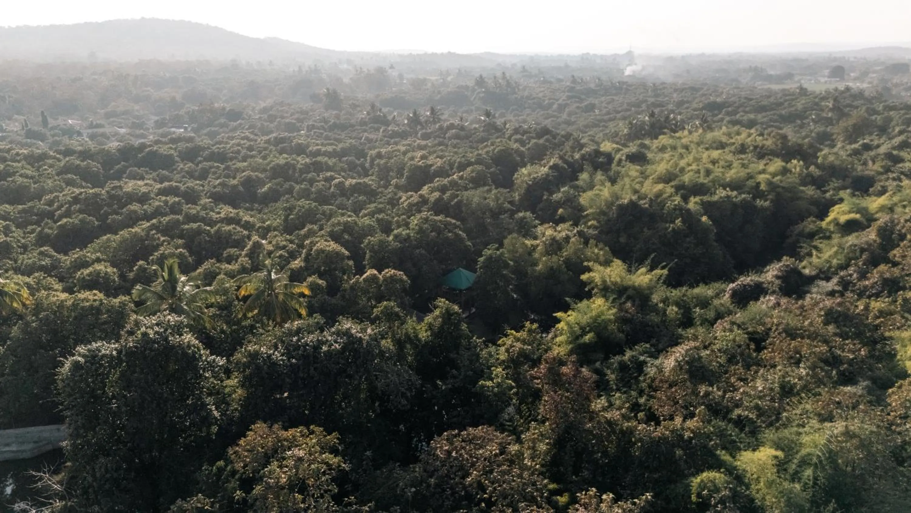 Natural landscape in Brook Ville