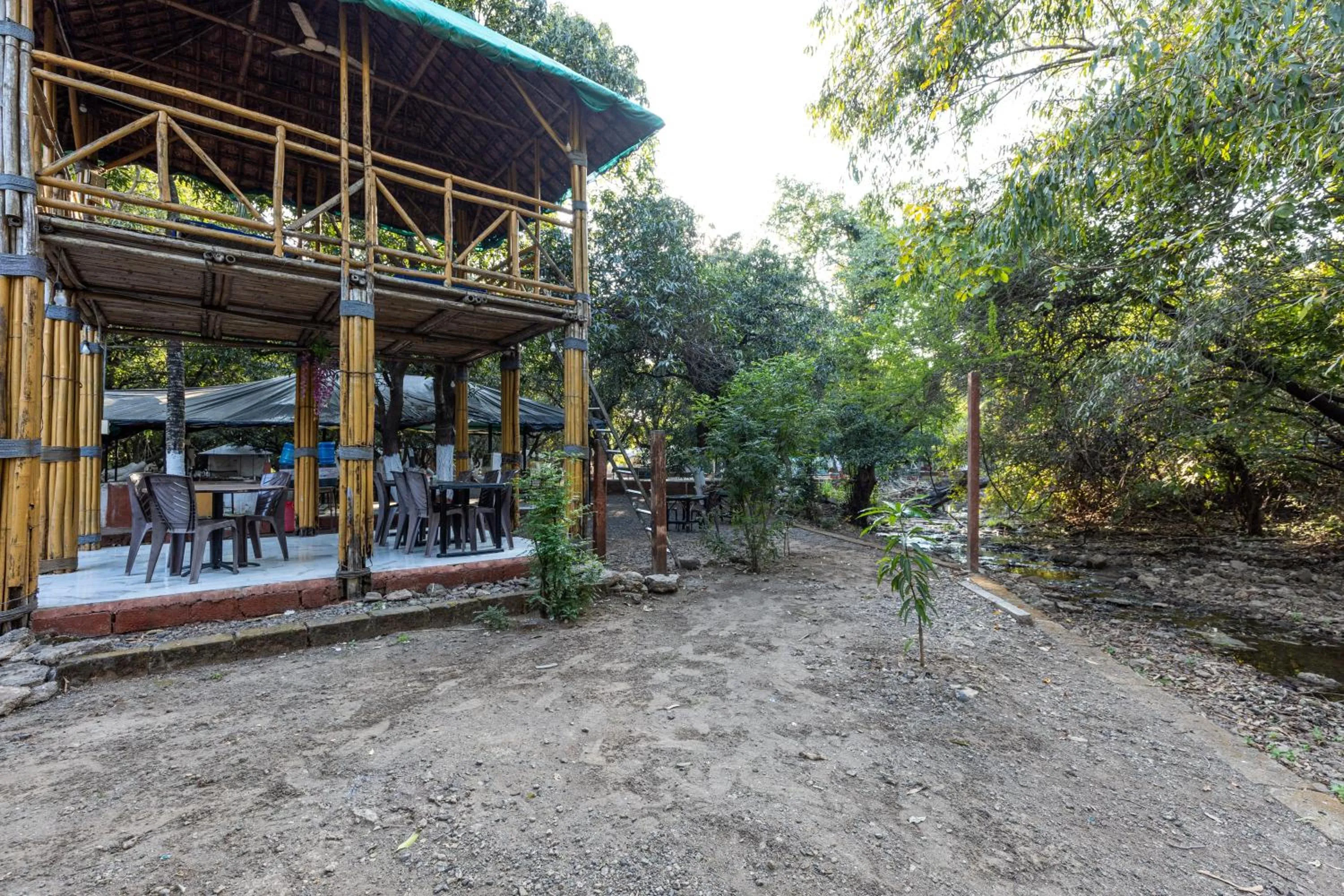 Spring in Brook Ville