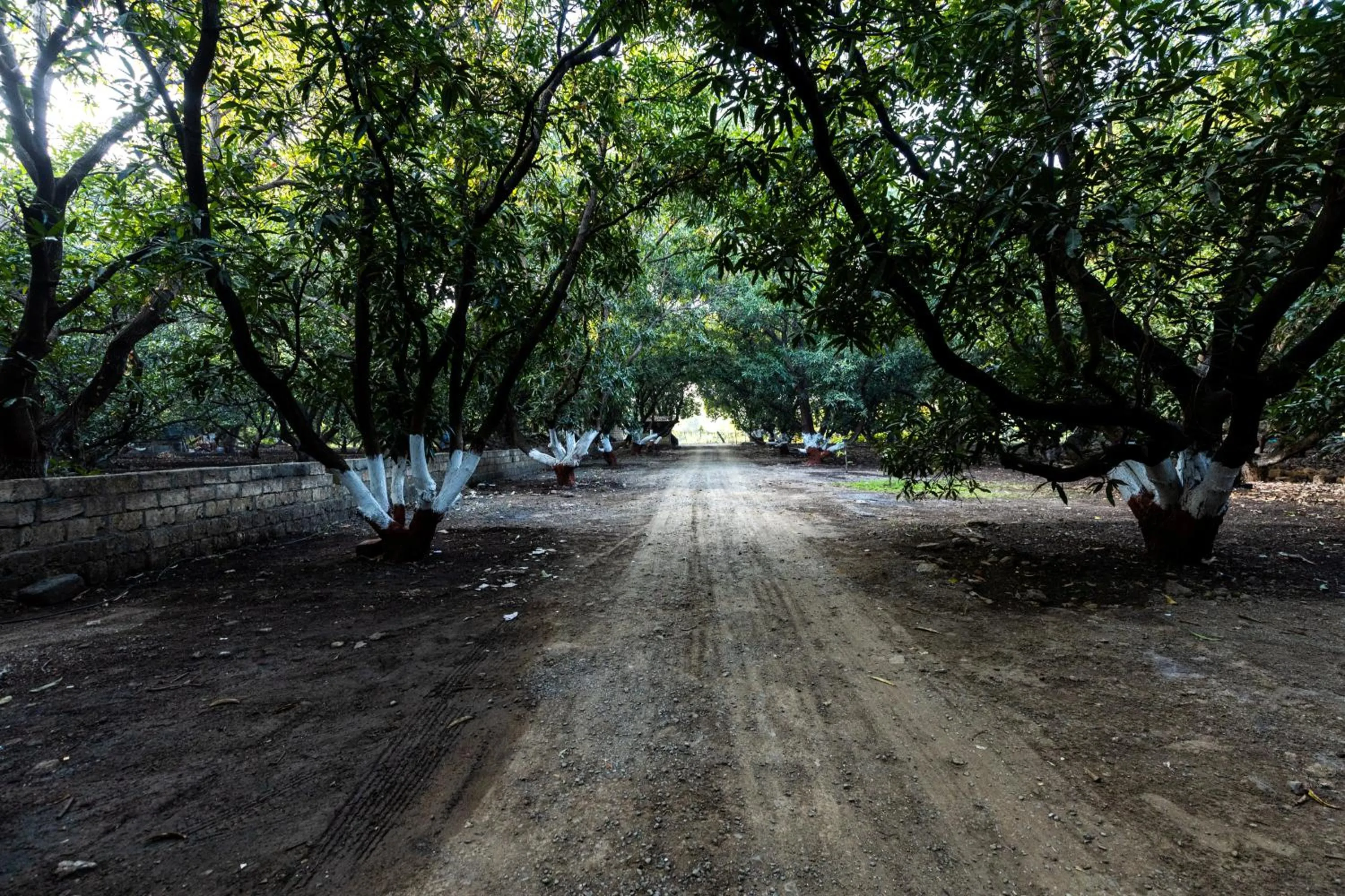 Spring in Brook Ville