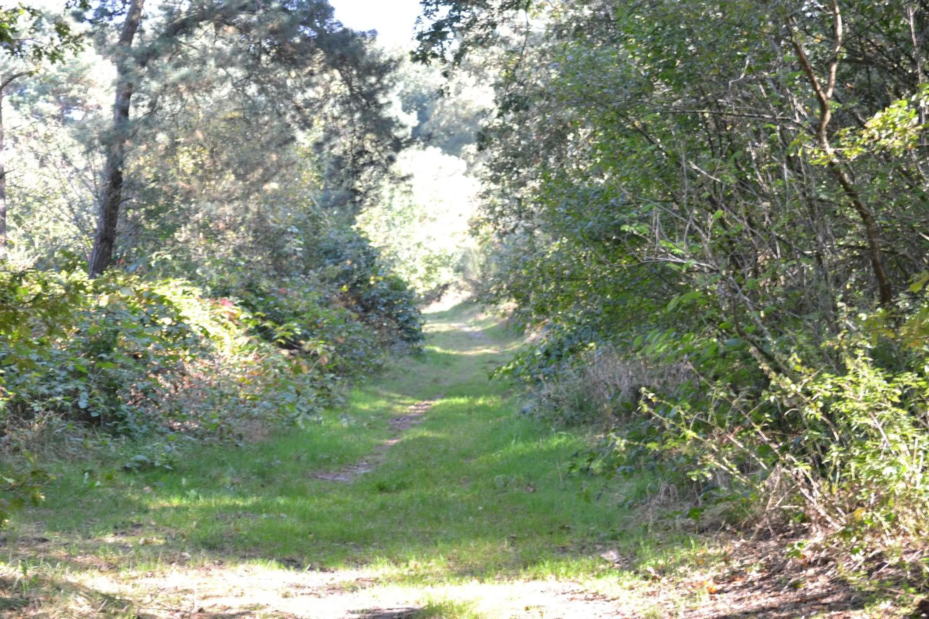 Area and facilities in Auberge De Moerse Hoeve