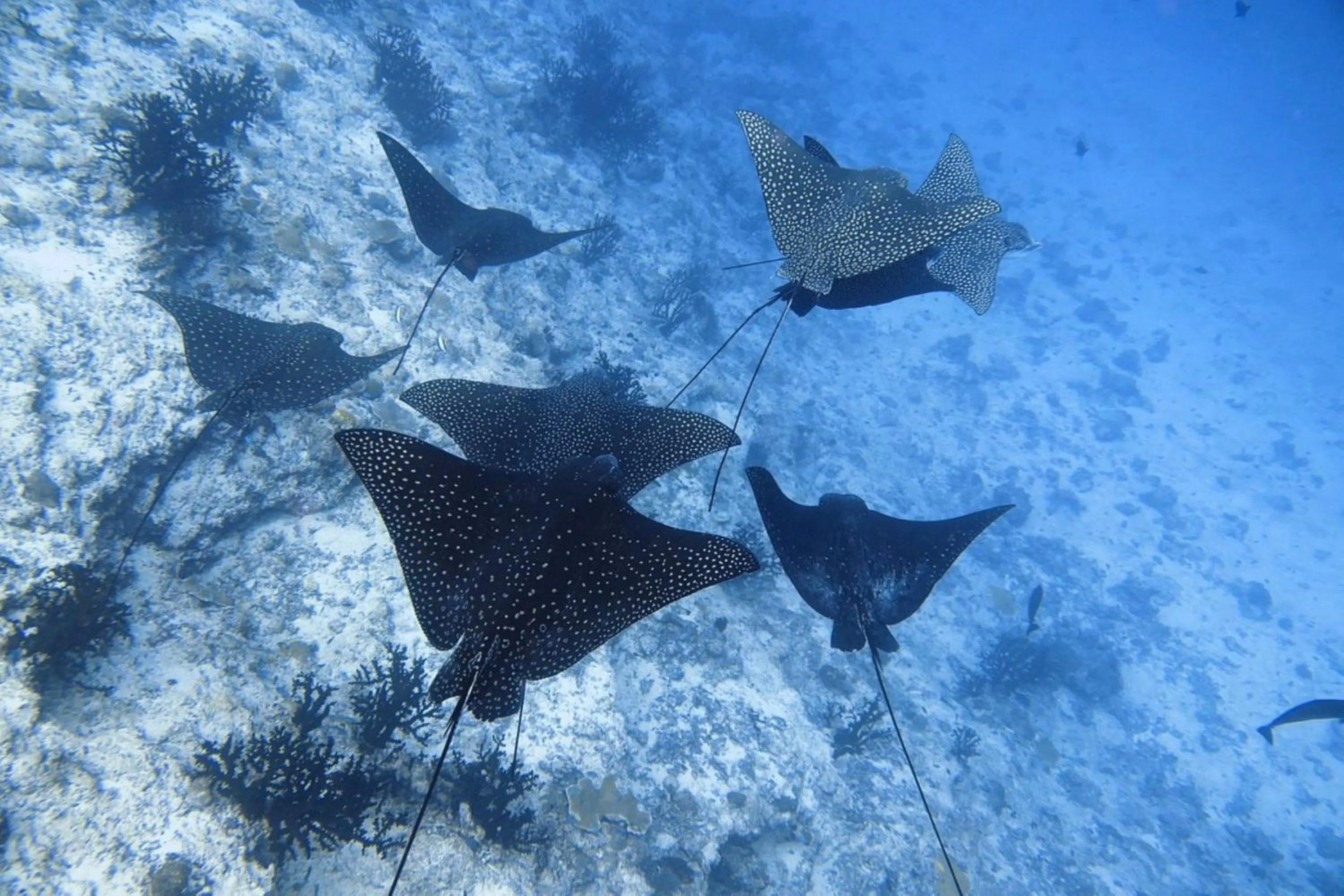 Natural landscape in Madi Grand Maldives