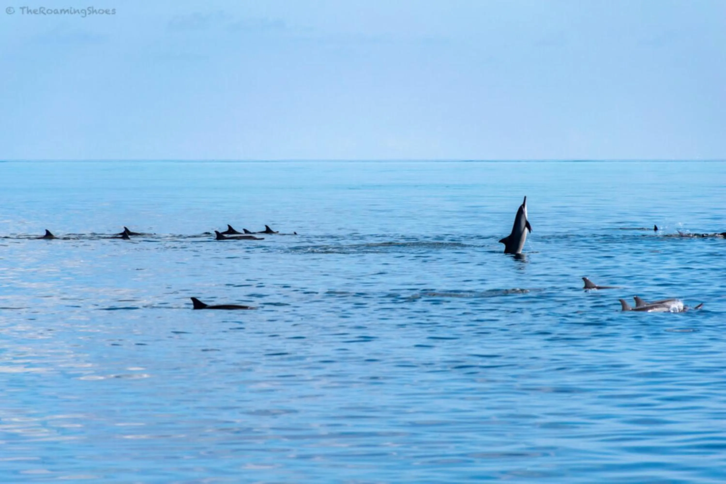 Neighbourhood in Madi Grand Maldives