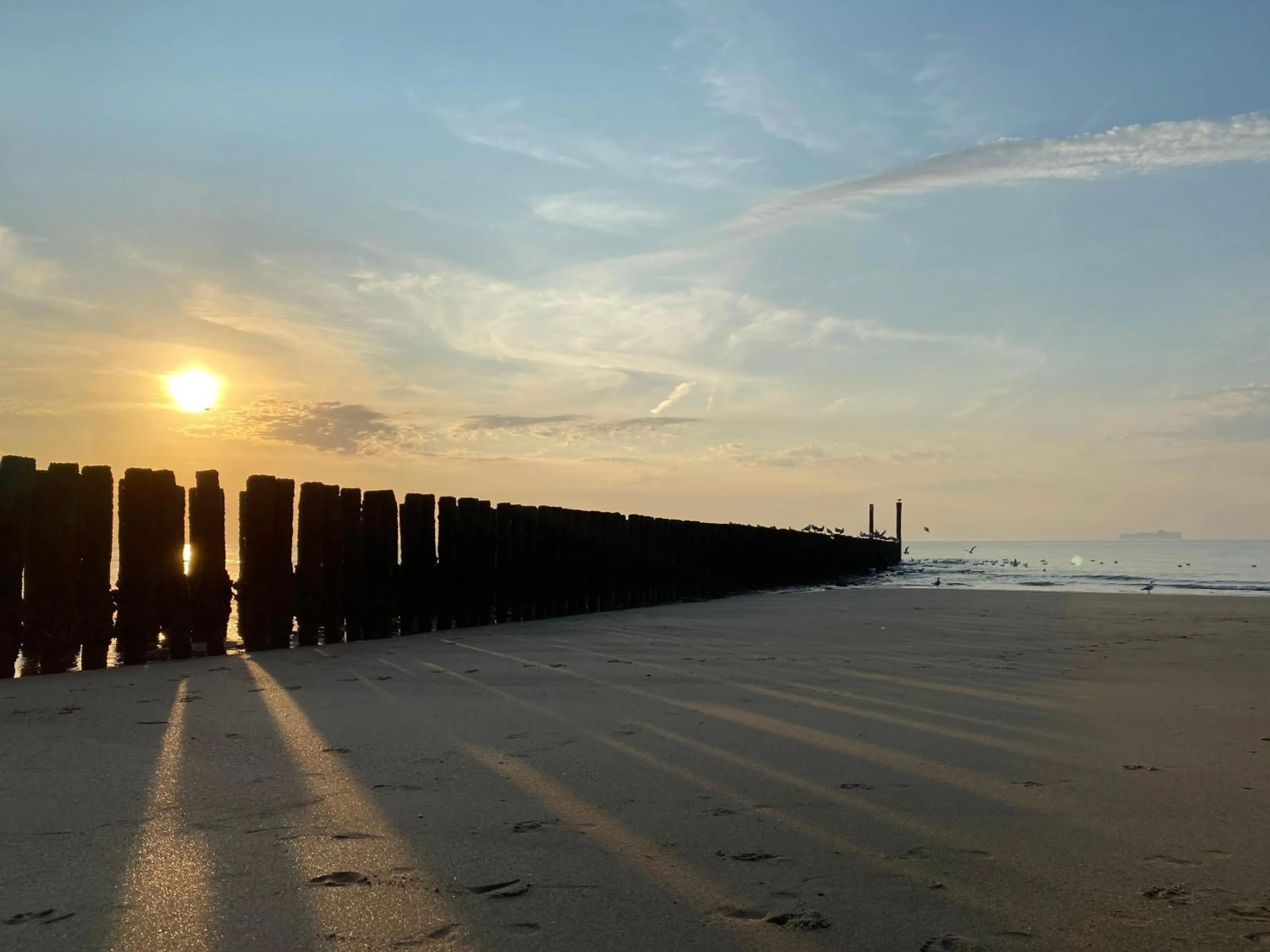 Natural landscape in Hotel de Schelde