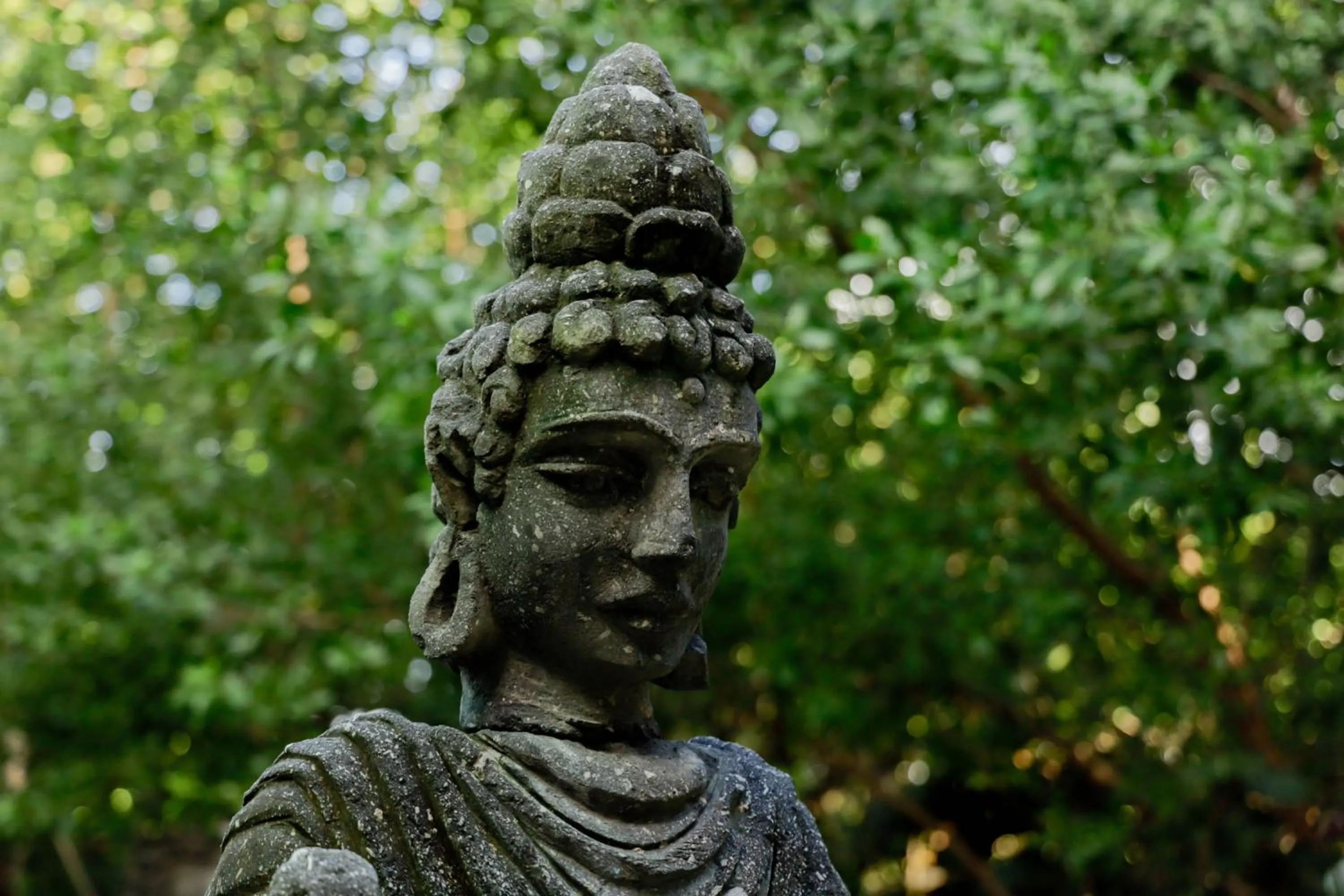 Natural landscape in Akuazul Resorts Adults Only