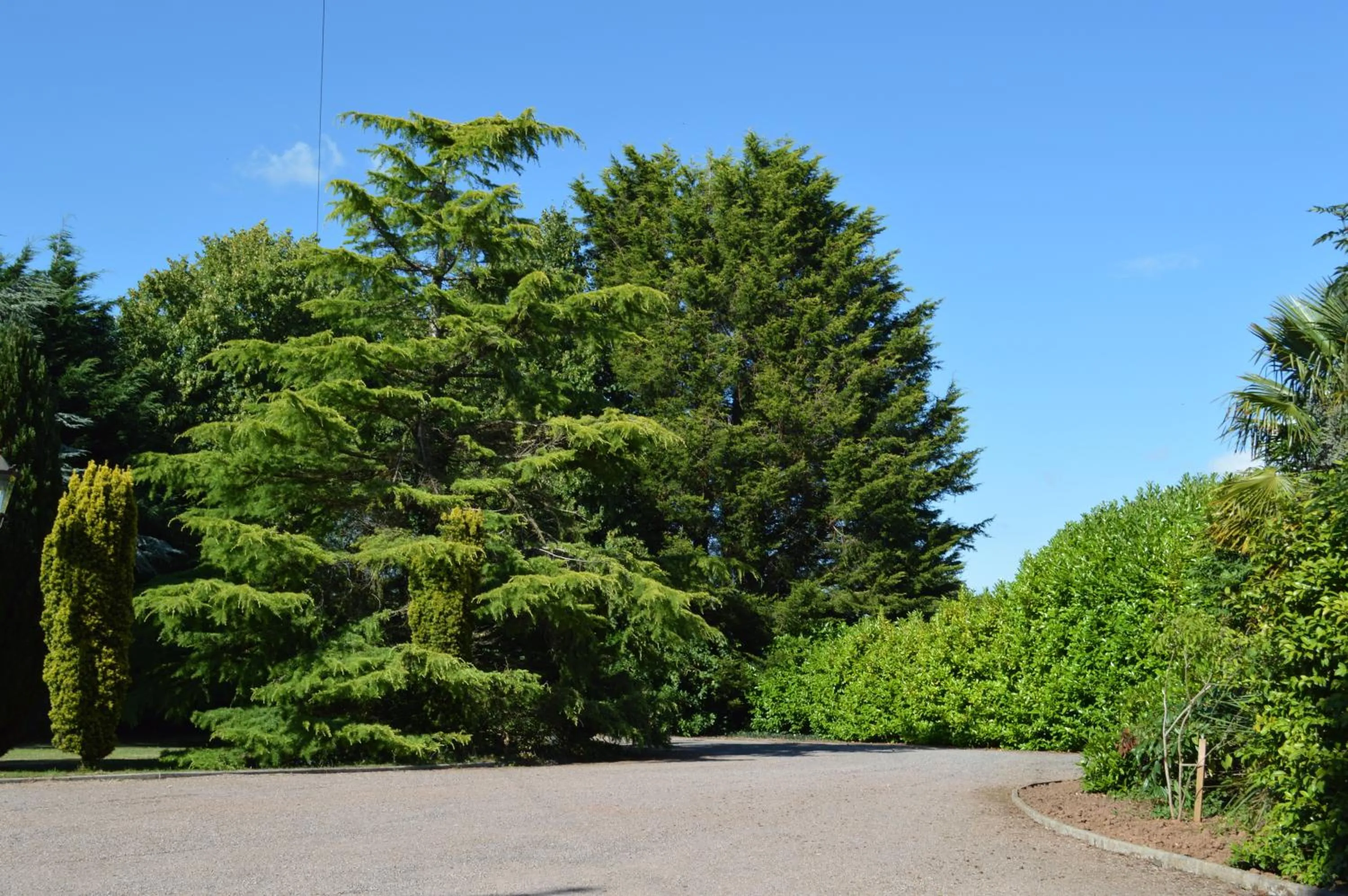 Day in The Grange Court Hotel