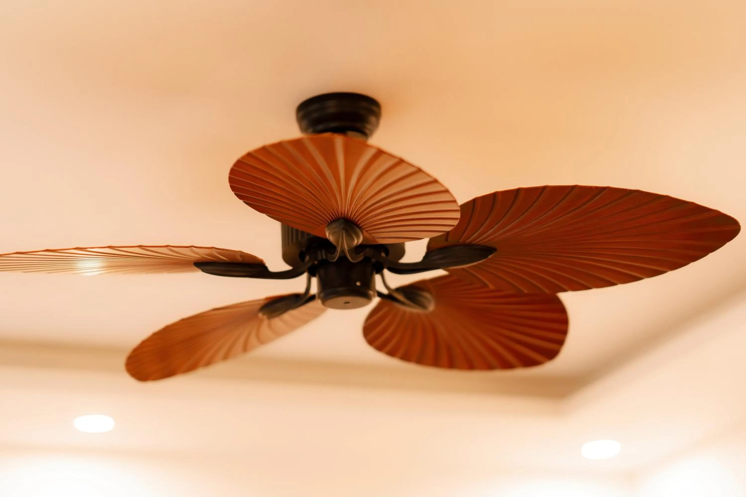 furniture in 75 Garden INN