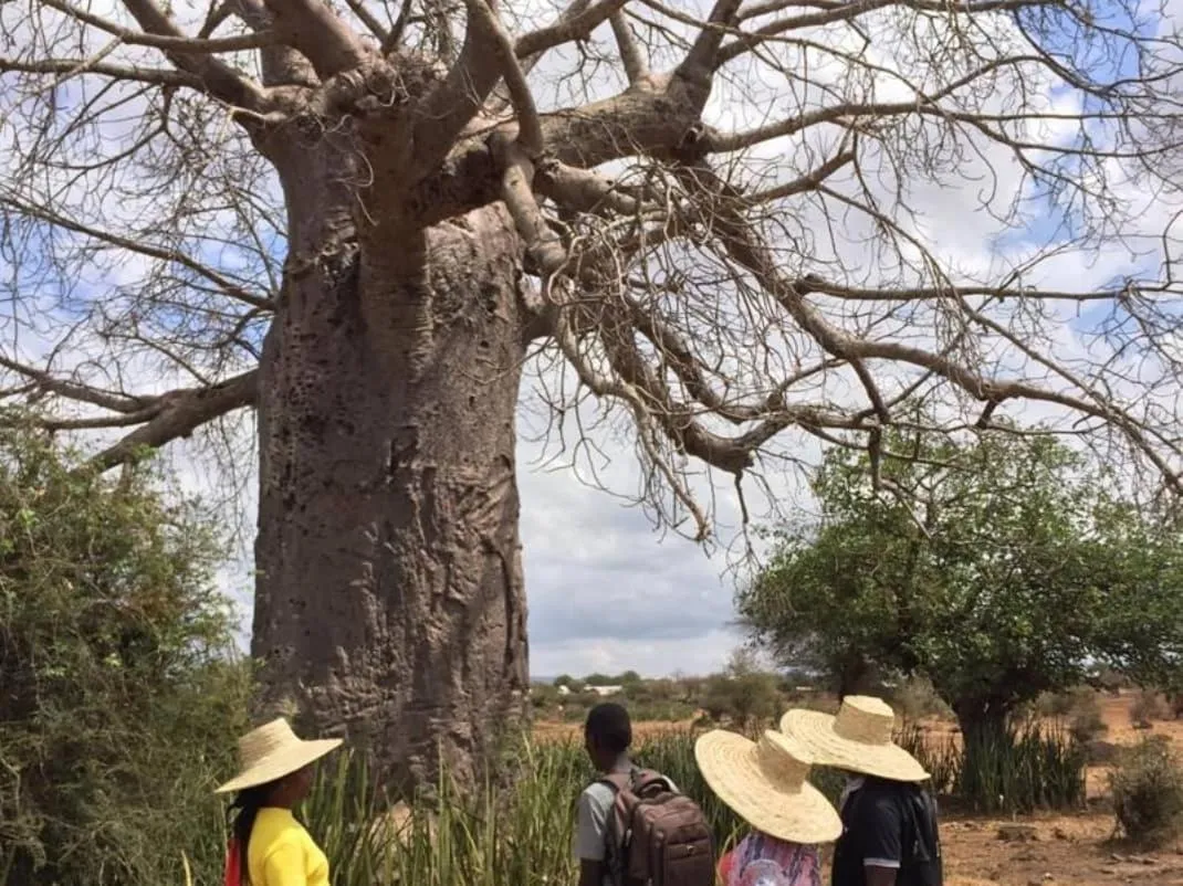 Natural landscape in Primeland Hotel