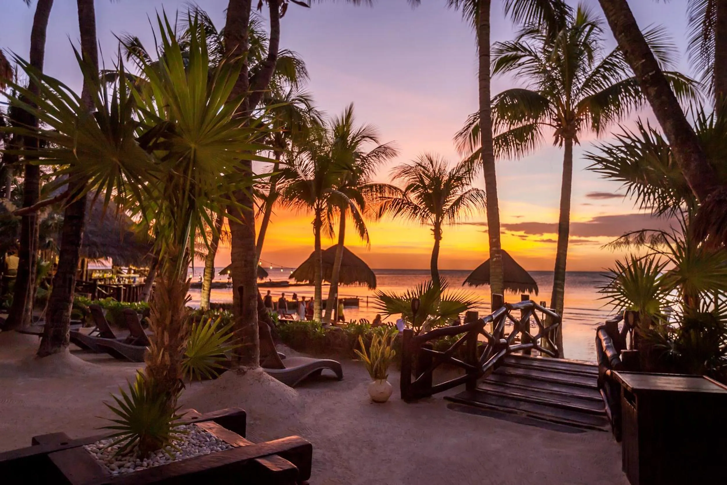 Garden in Beachfront Hotel La Palapa - Adults Only