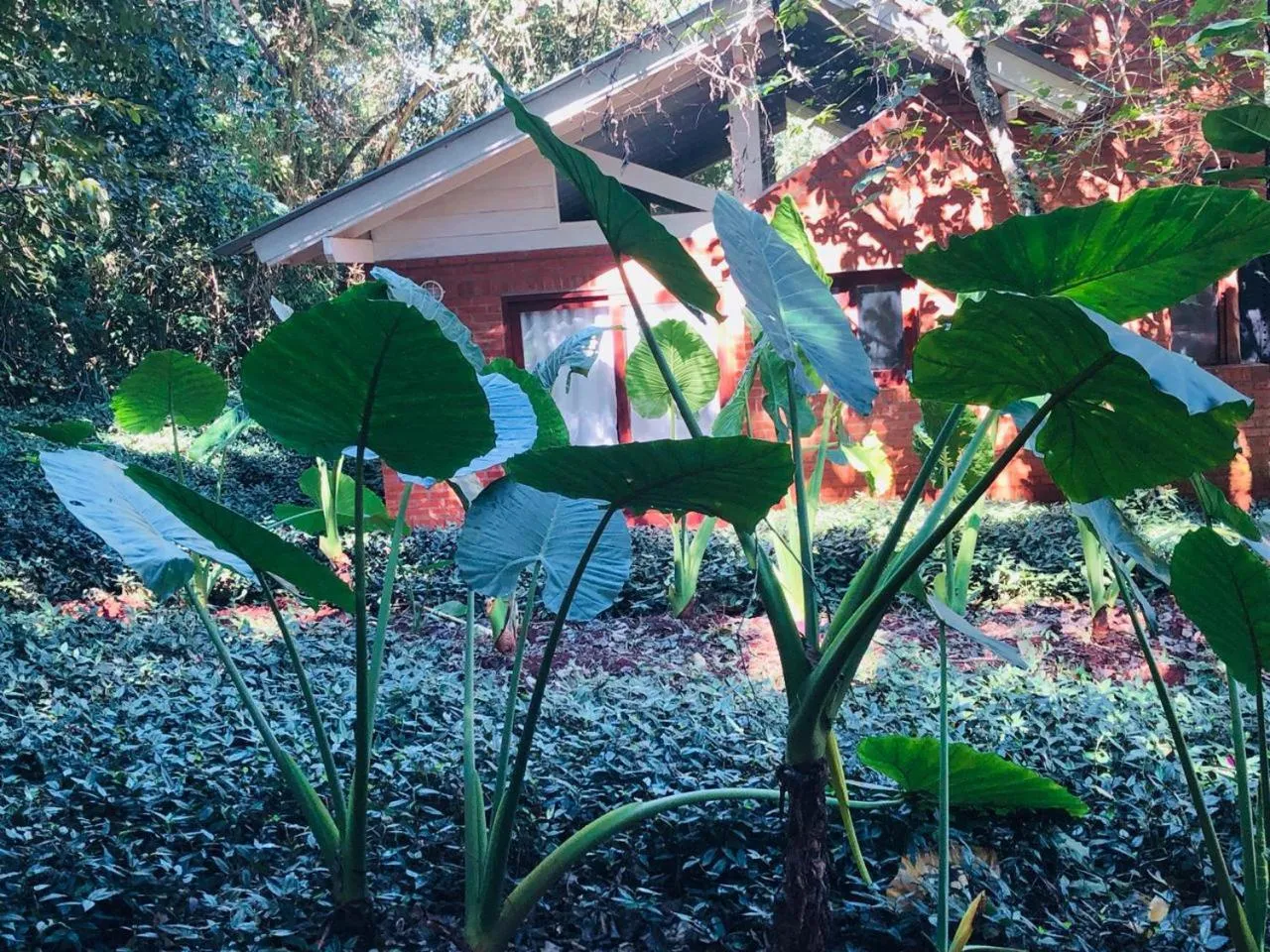 Property building in Raices Amambai Lodges