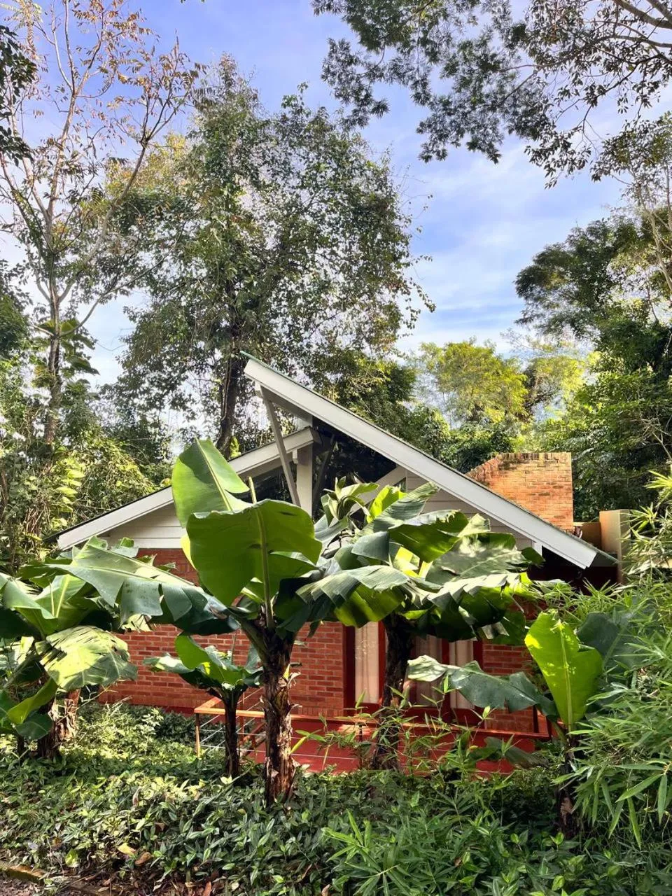 Garden in Raices Amambai Lodges