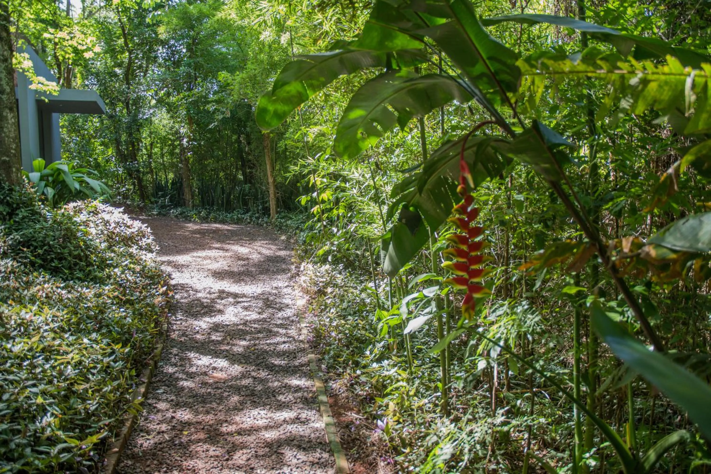 Garden in Raices Amambai Lodges