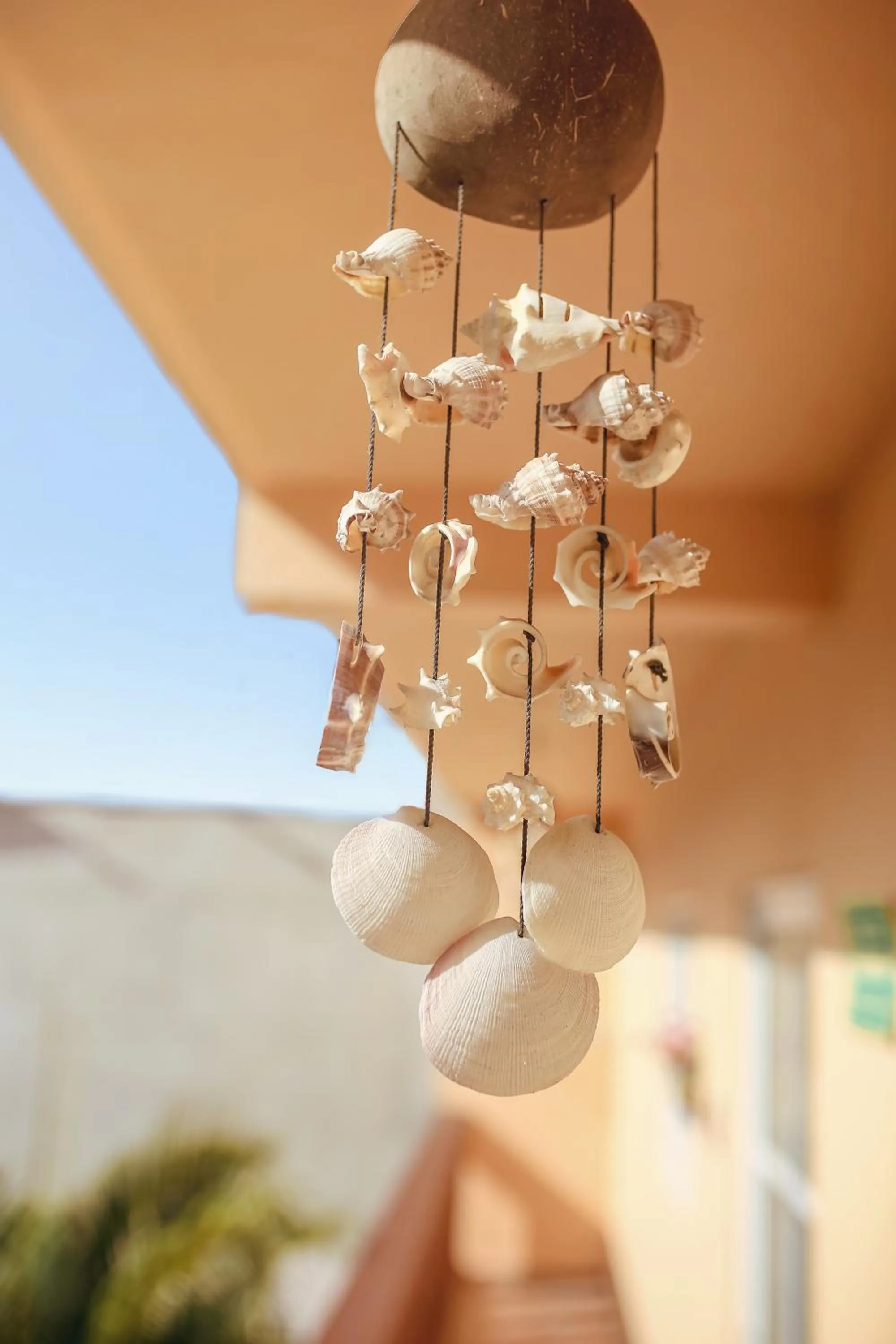 View (from property/room) in Casa Saab