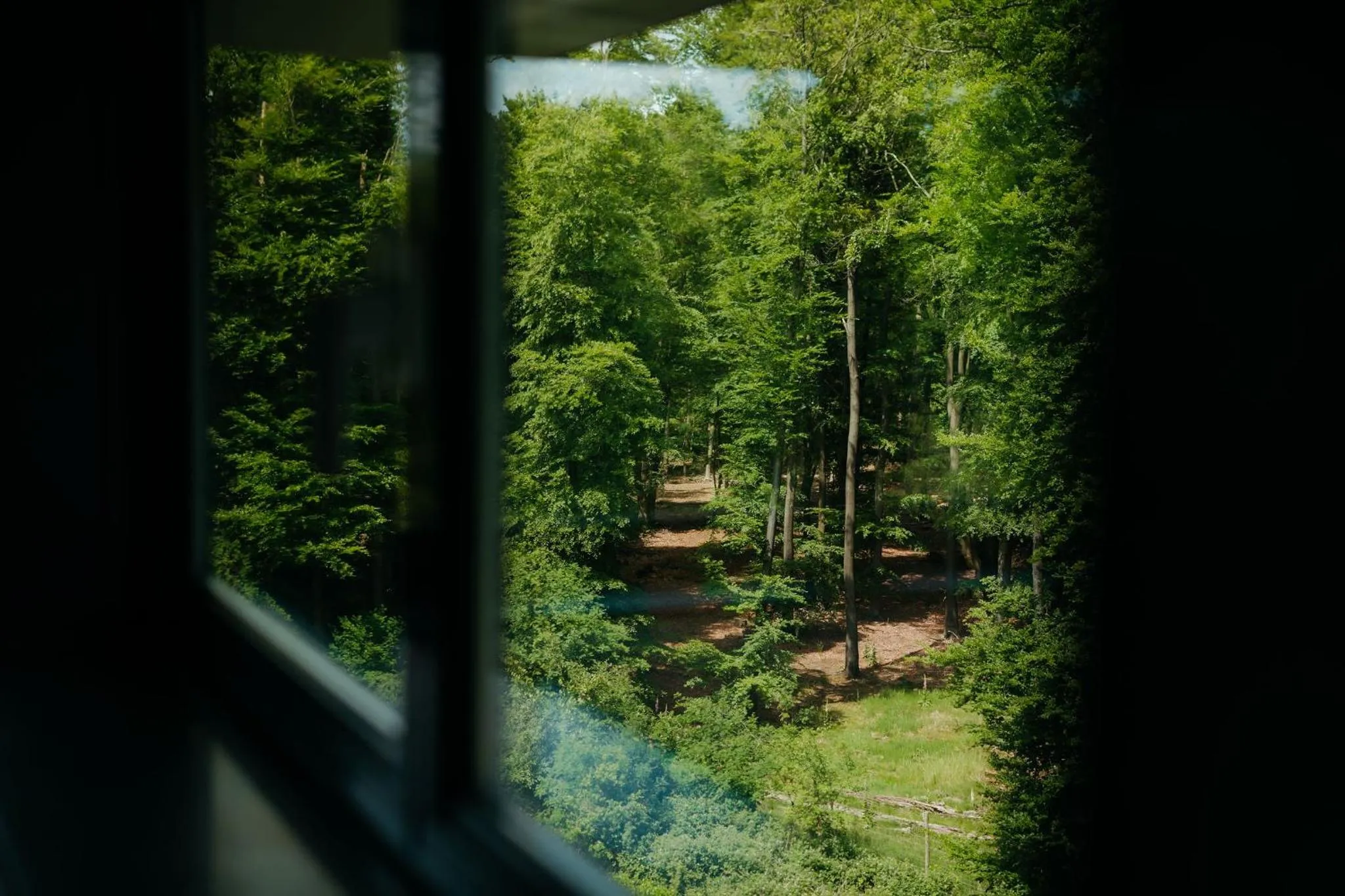 View (from property/room) in Hotel Gastronomique de Echoput