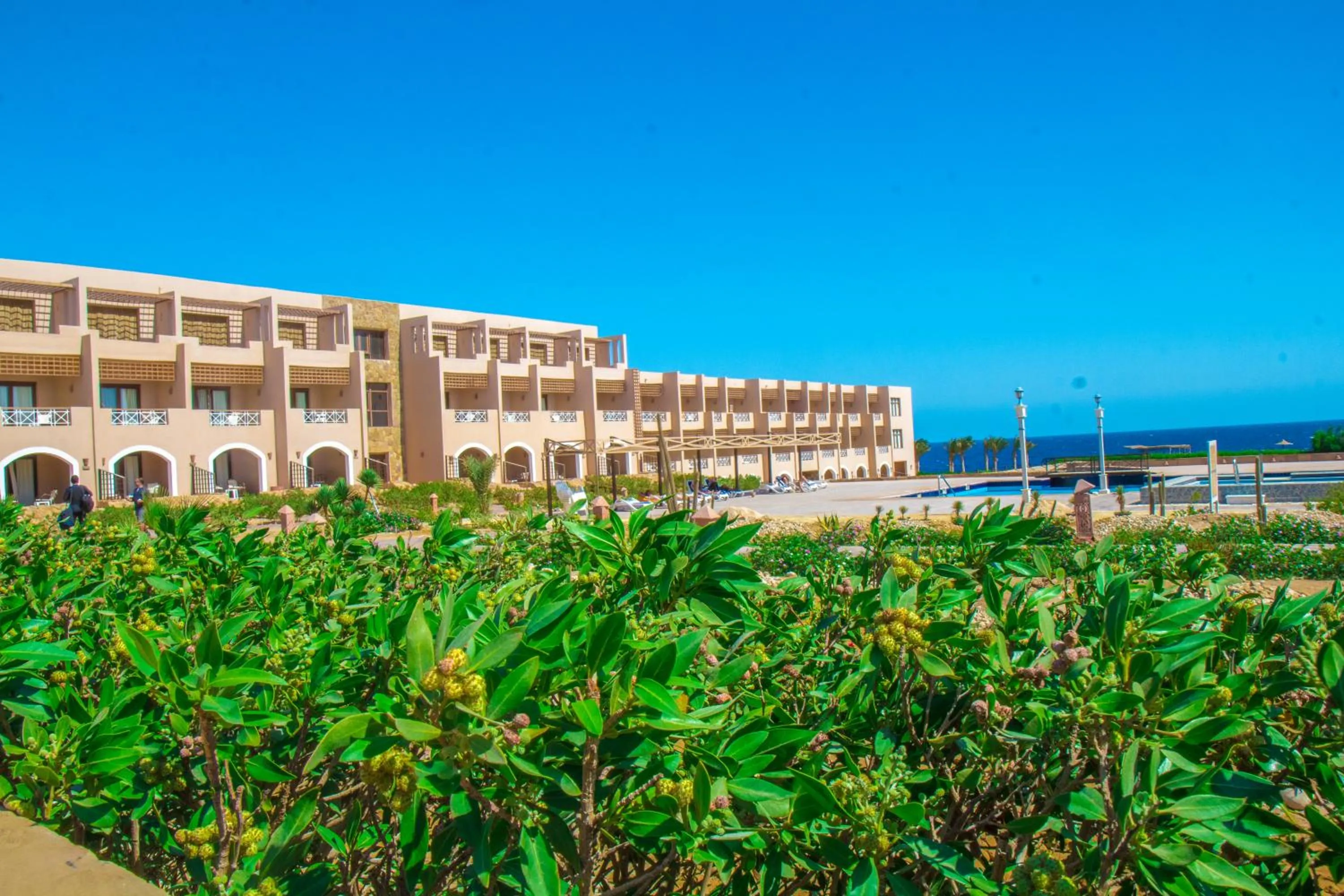 Property building in Viva Blue Resort and Diving Sharm El Naga (Adults Only)