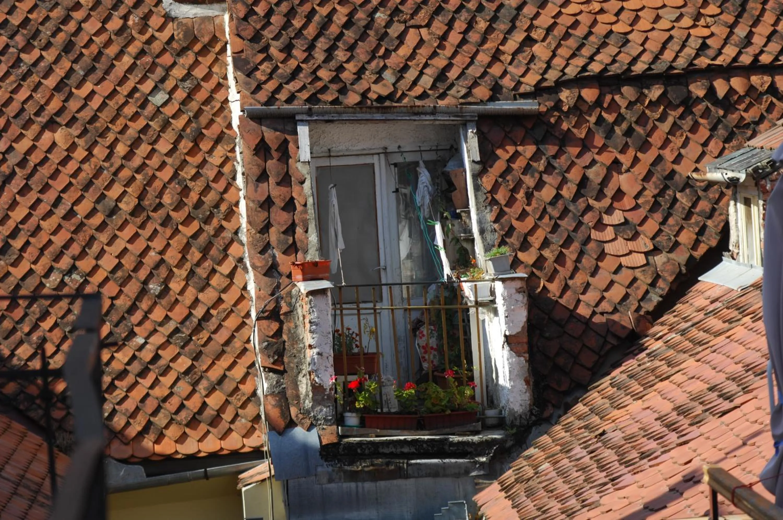 View (from property/room) in Main Square Apartments & More