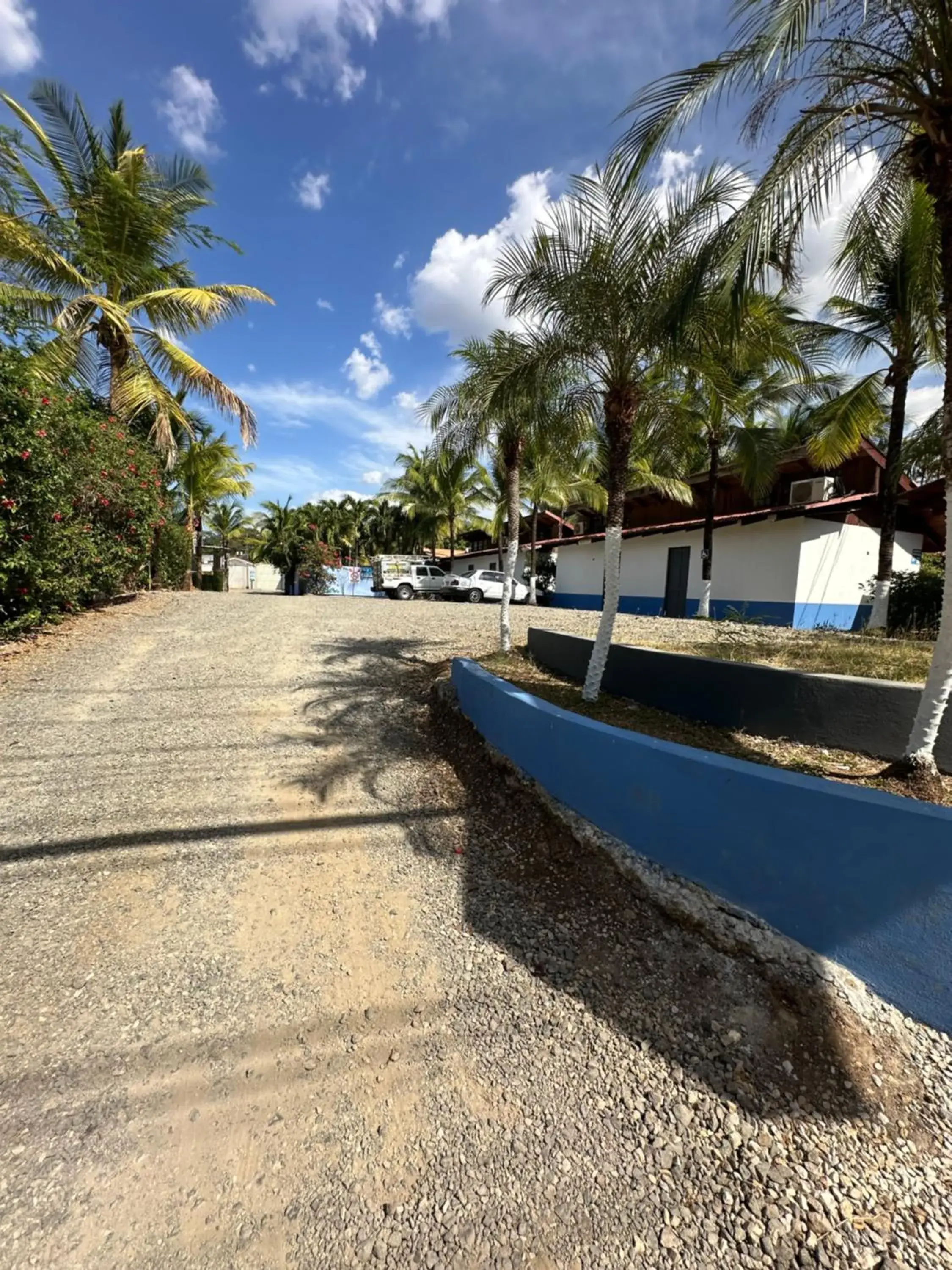 Wide Mouth Frog Conchal Wide Mouth Frog Conchal