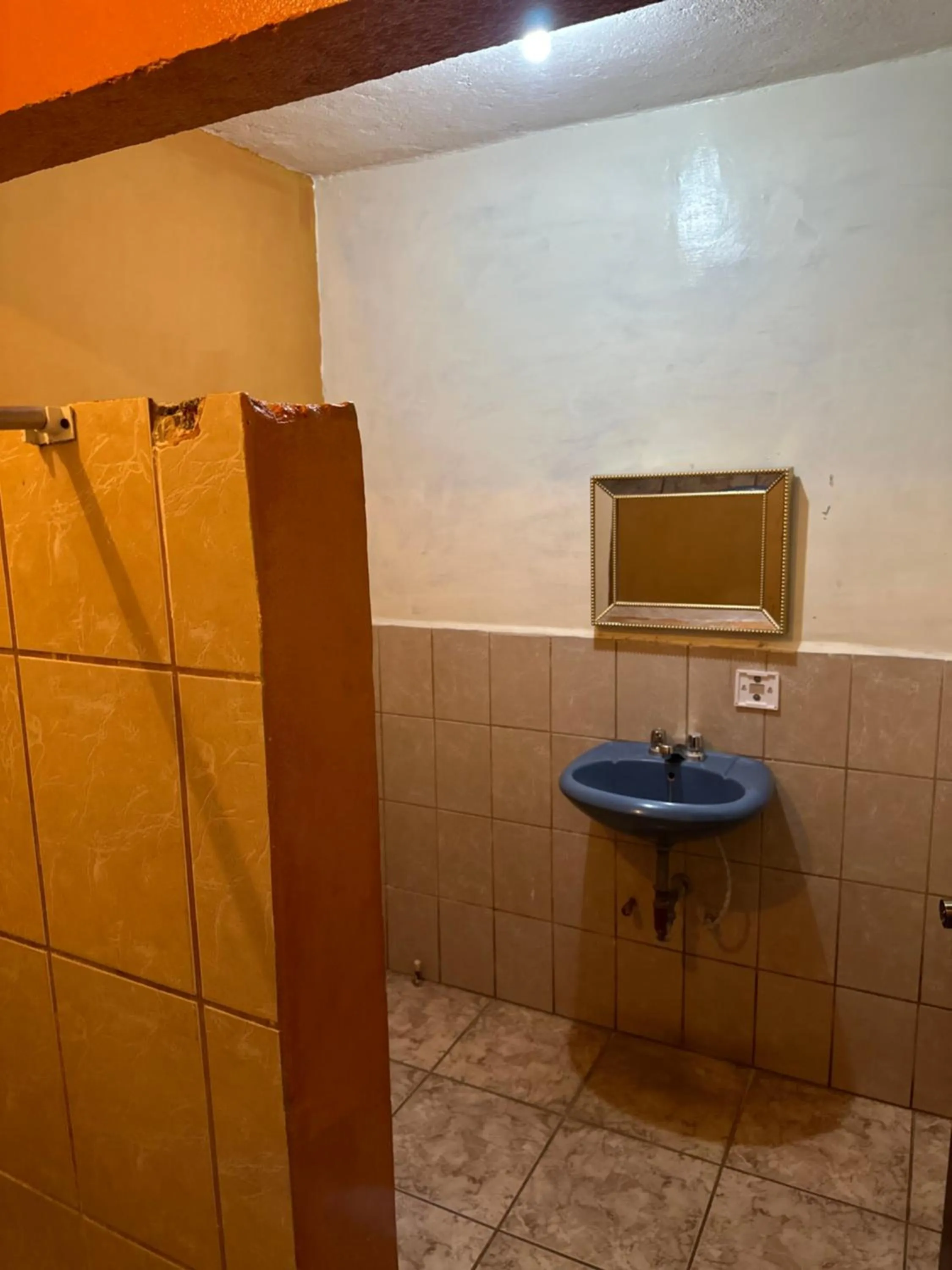 Bathroom in Wide Mouth Frog Conchal