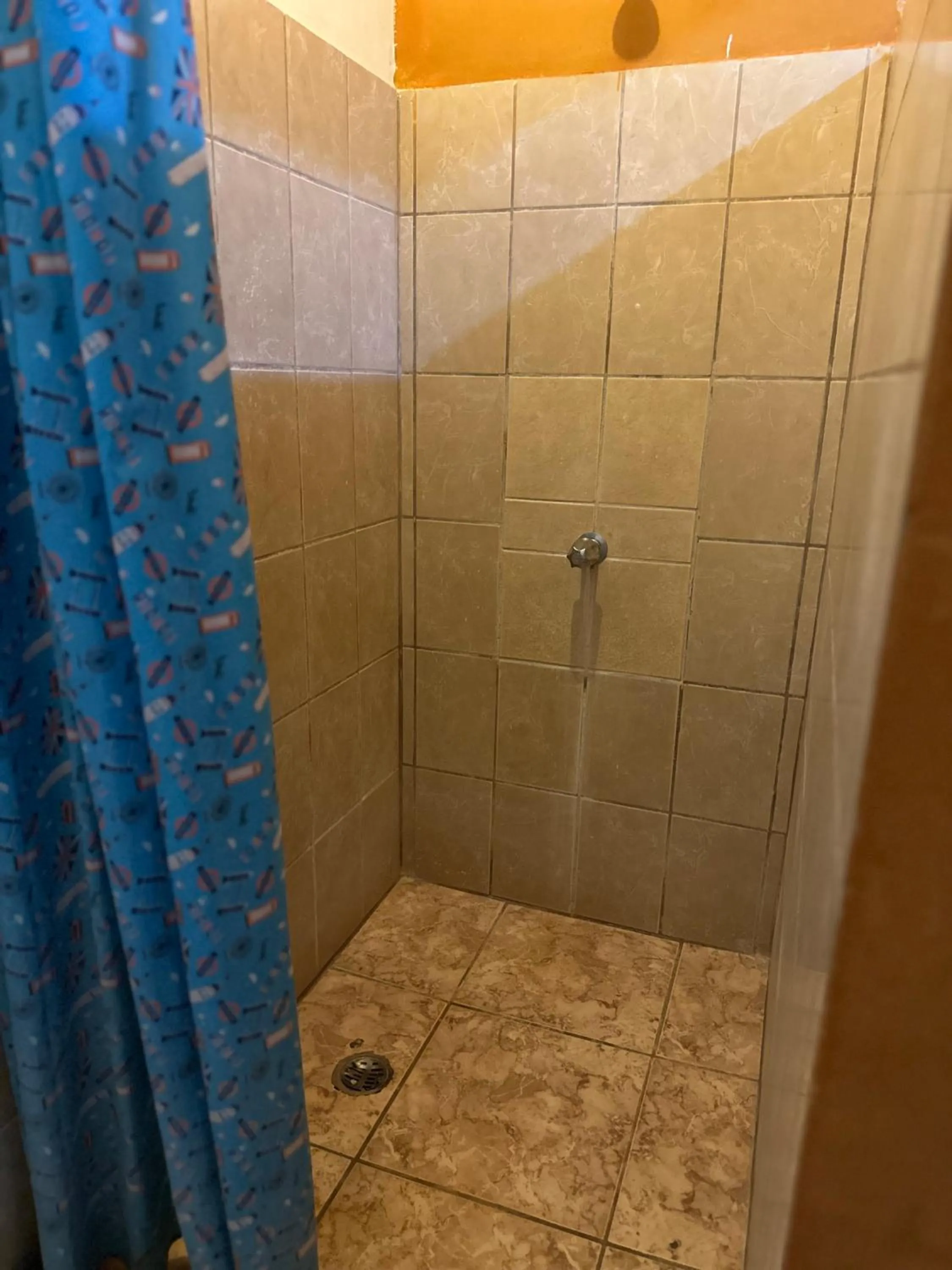 Shower in Wide Mouth Frog Conchal