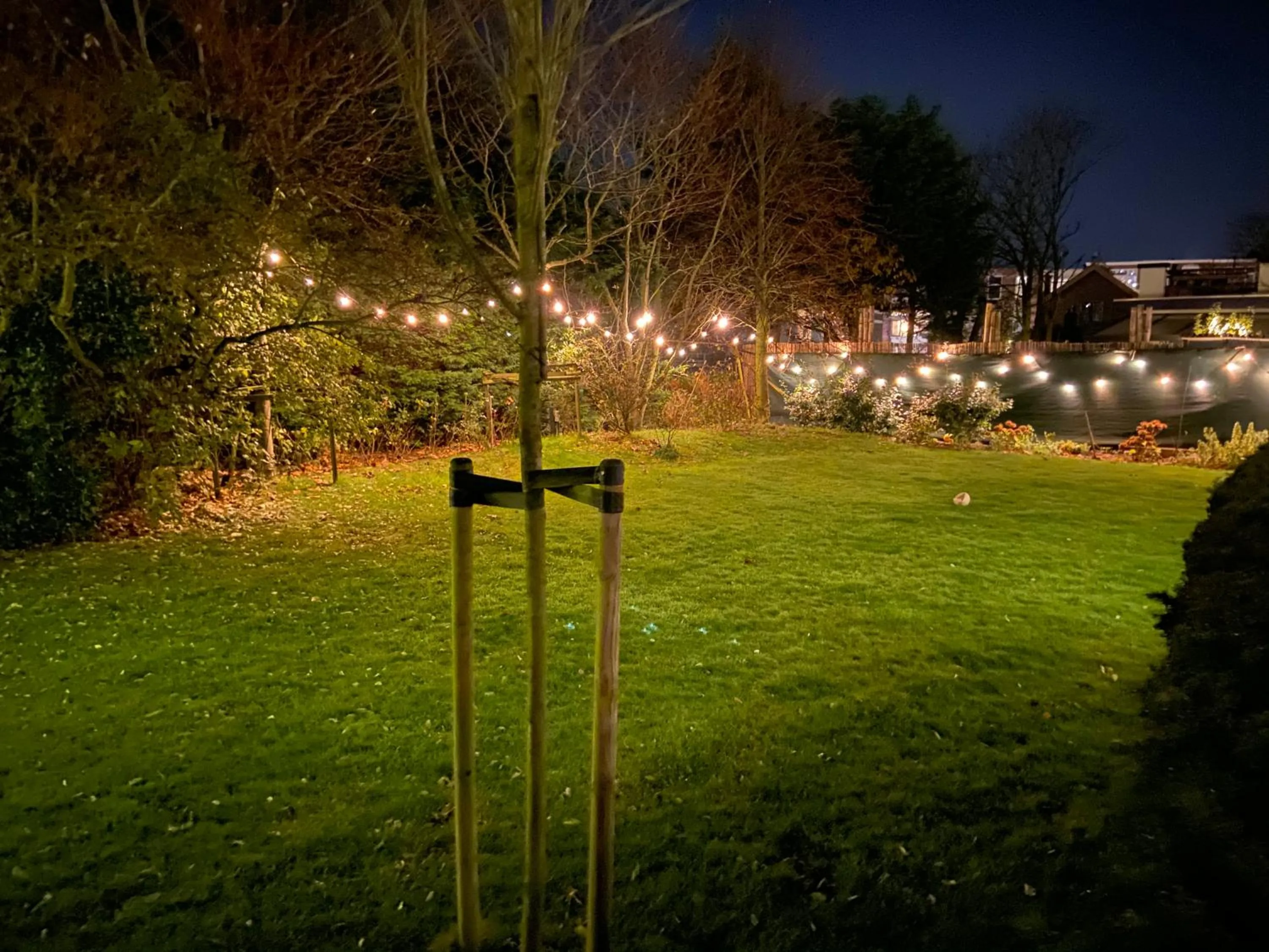 Garden in B & B Villa Suisse