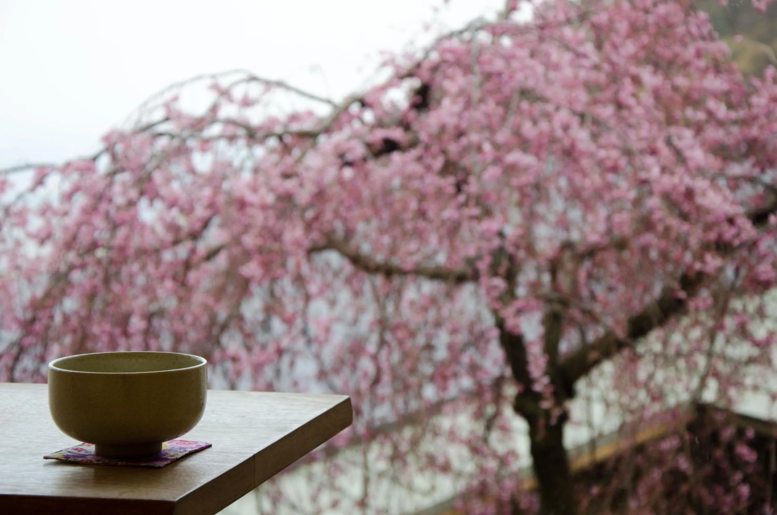 Spring in Takimotokan Yuki No Sato