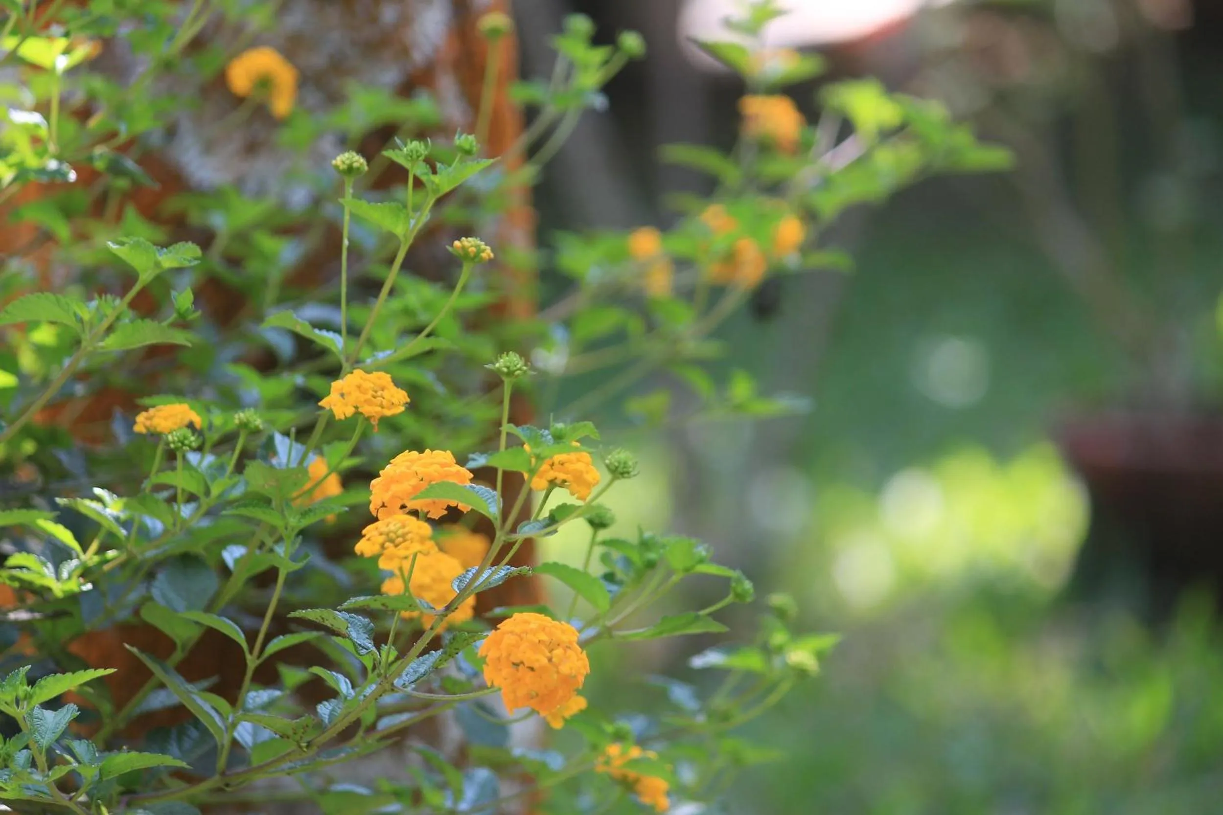 Property building in Green Ark Resorts