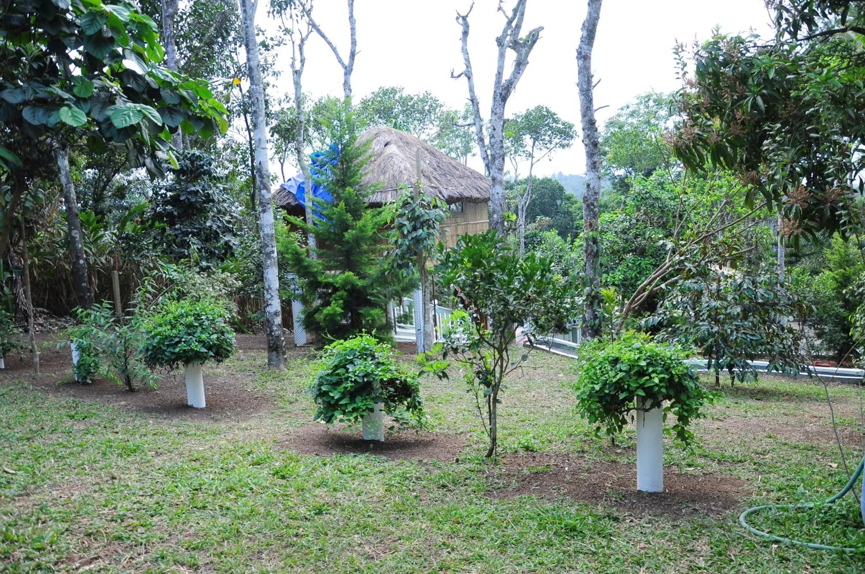Garden in Green Ark Resorts