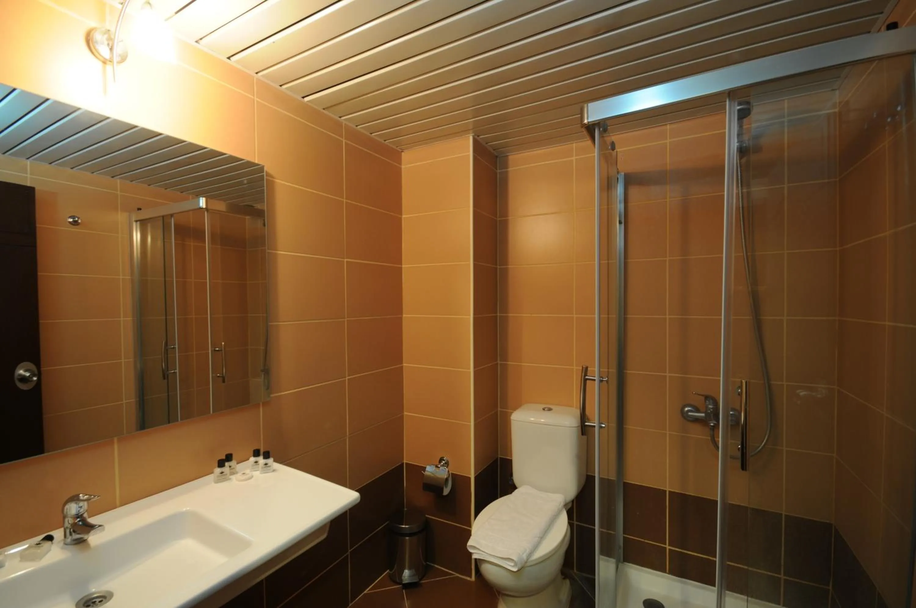 Bathroom in Palmea Hotel