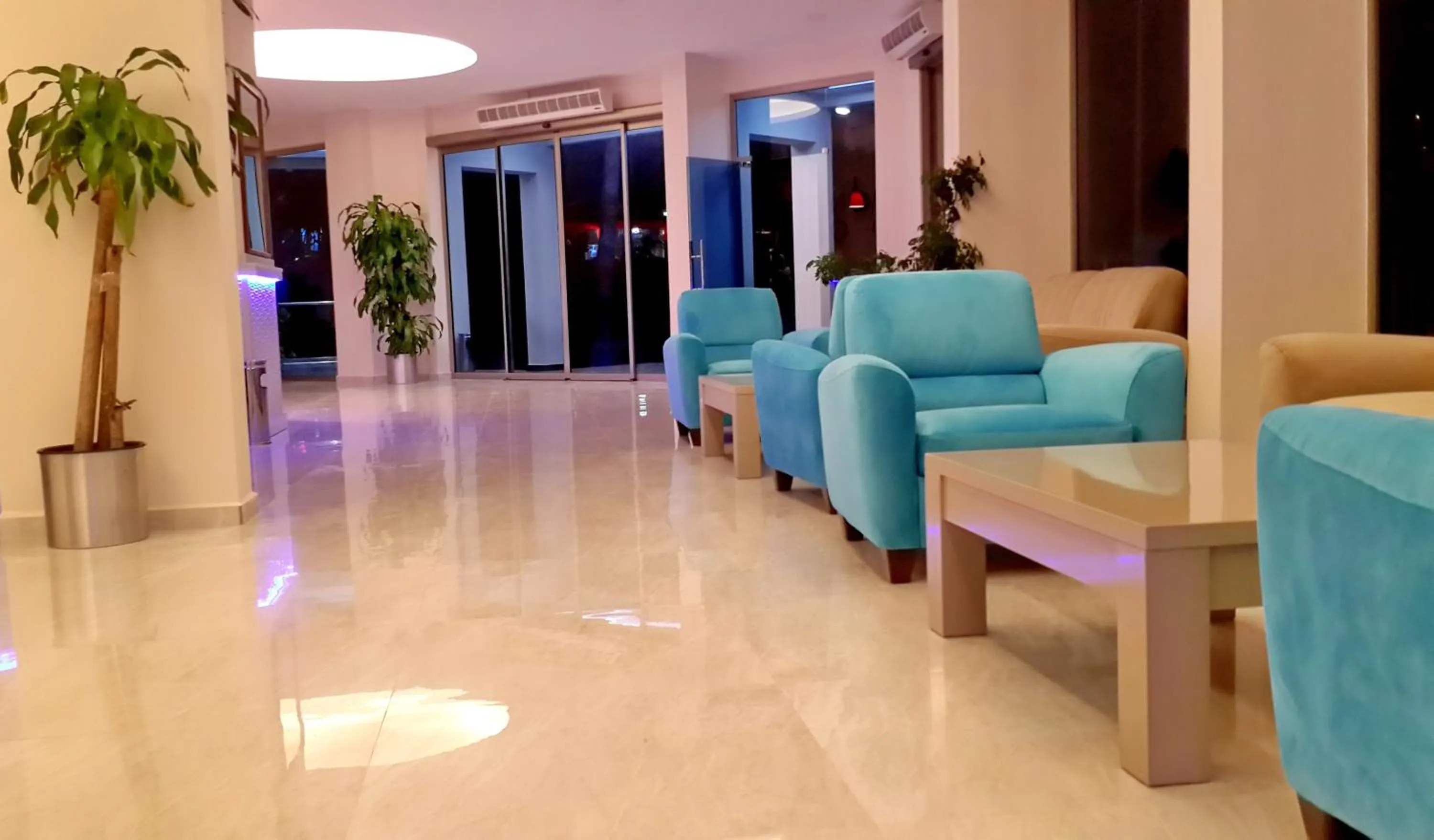 Lobby or reception in Palmea Hotel