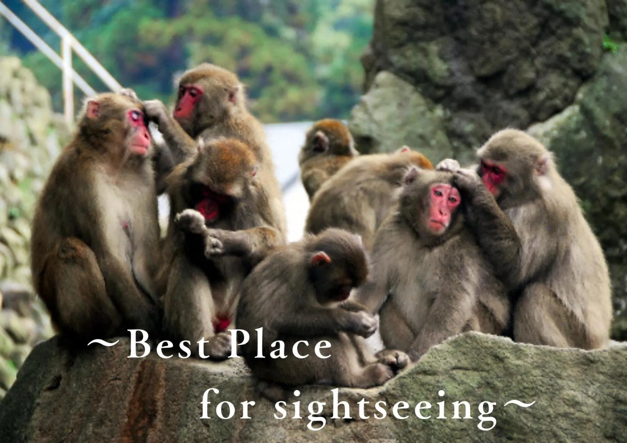 Beppu onsen Resort Stay Spa Tsurumi