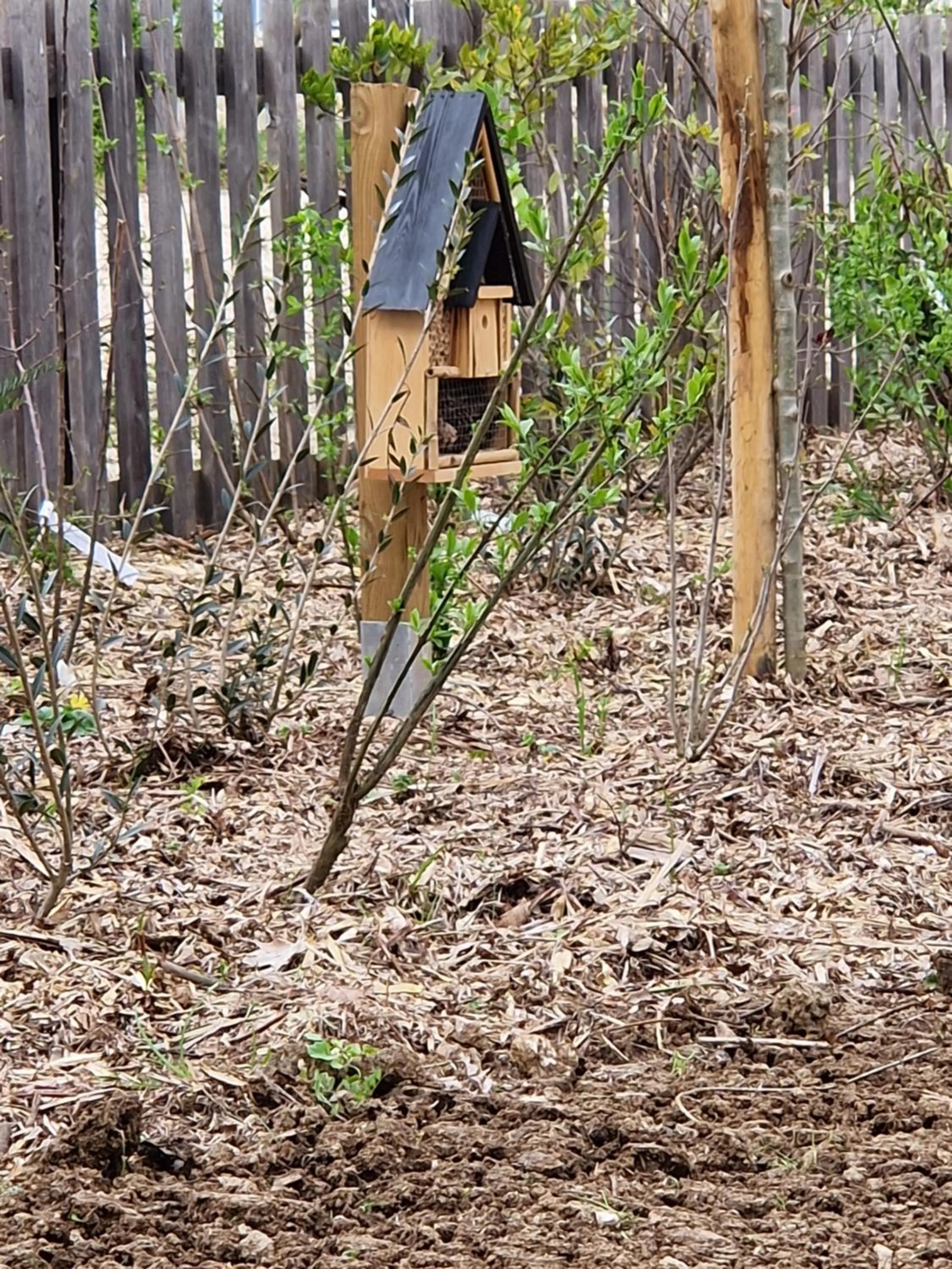 Garden in Beelodge Hotel Blois Centre