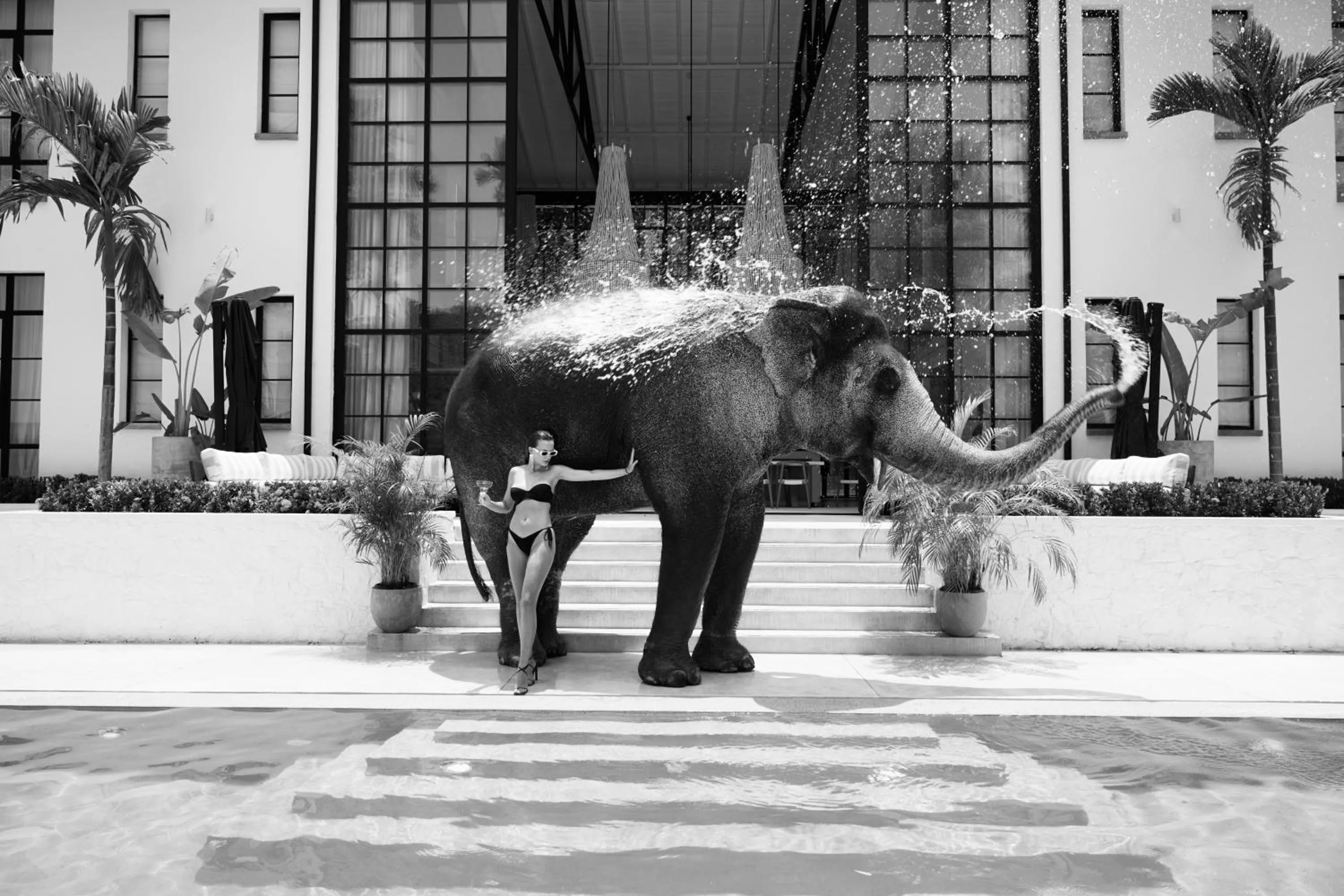 Swimming pool in Miss Ceylon