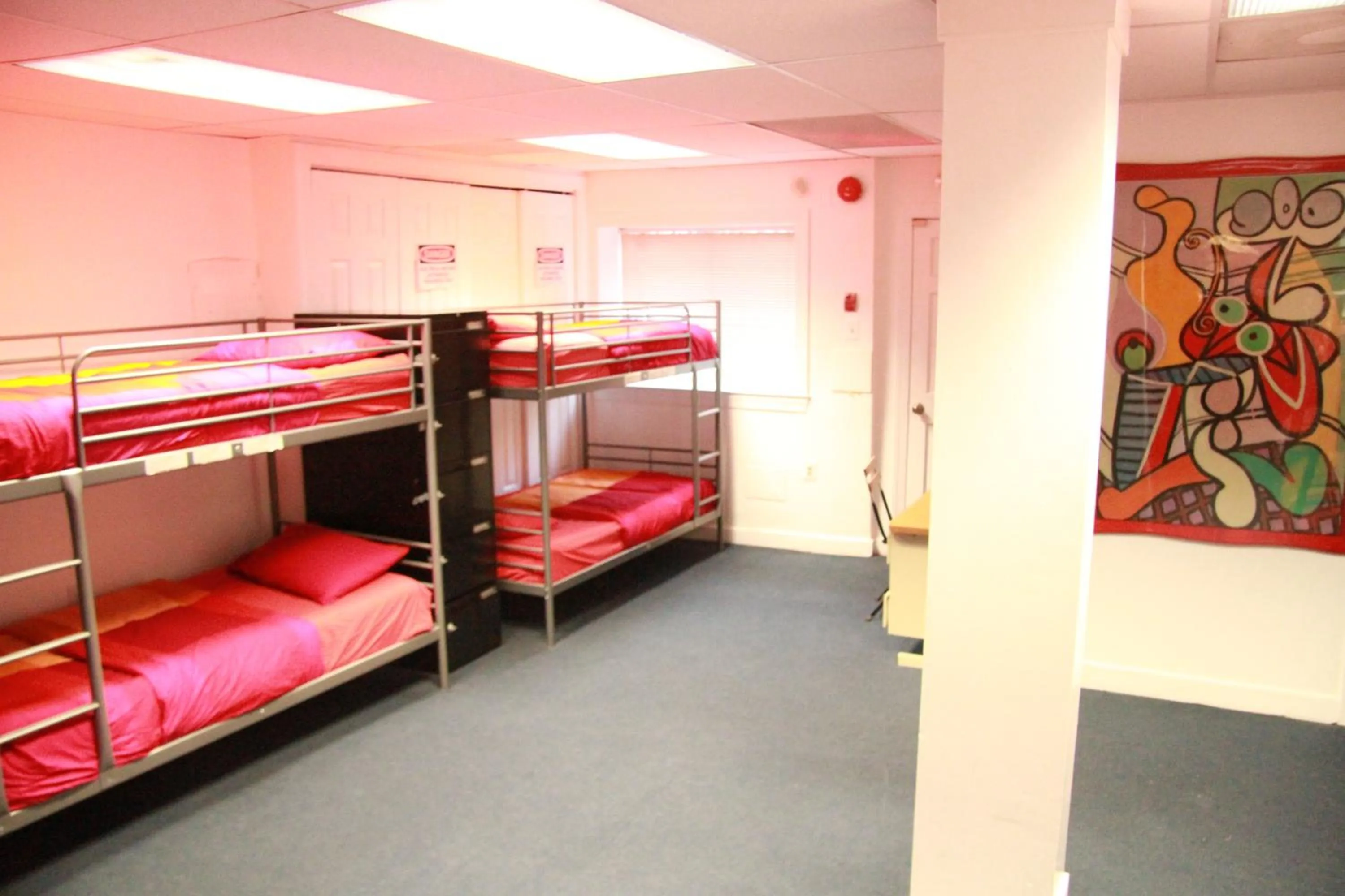 bunk bed, Bed in Duo Housing