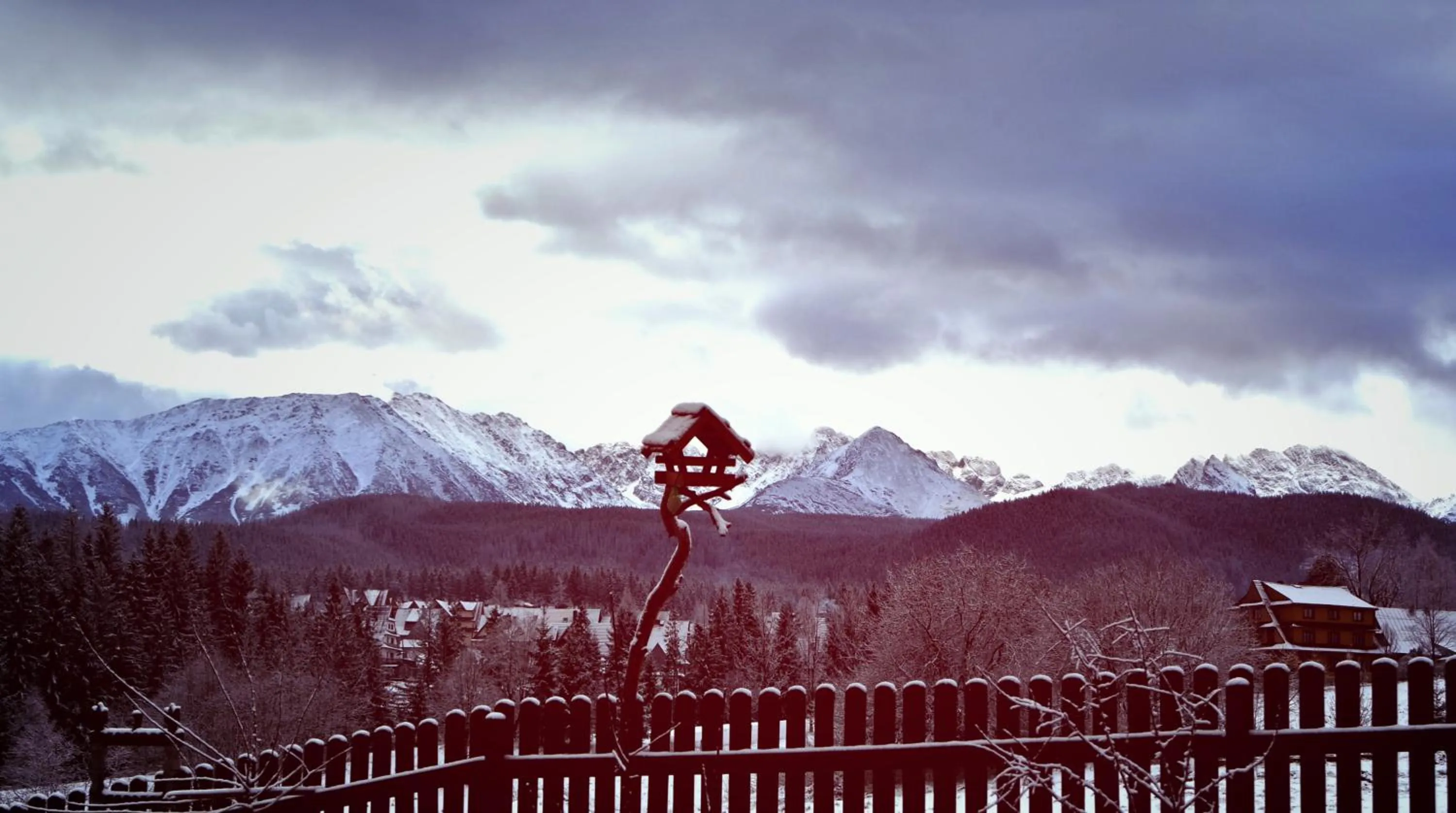 Winter in Zwijacz¿wka