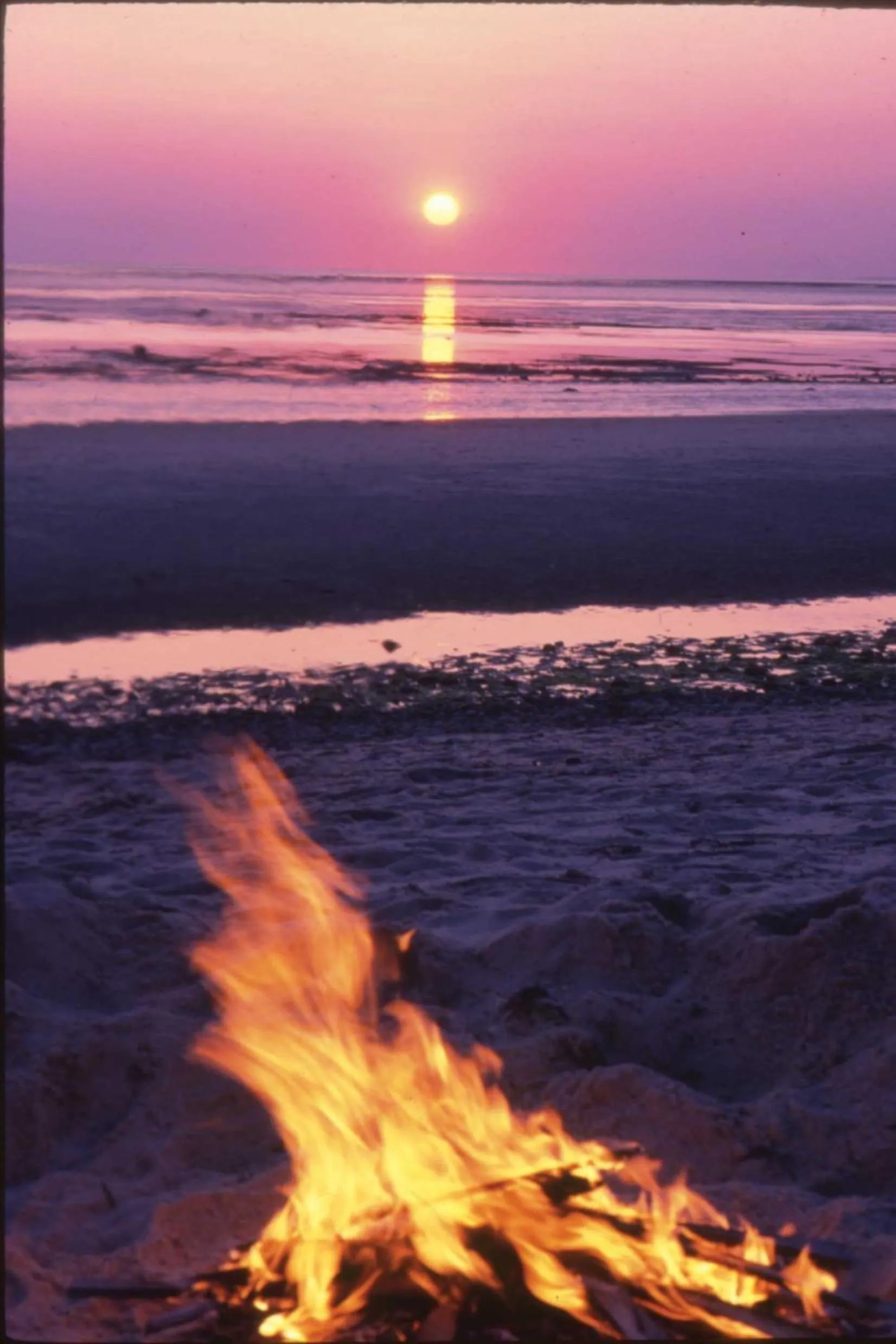 Beach in The Mansion at Ocean Edge Resort & Golf Club