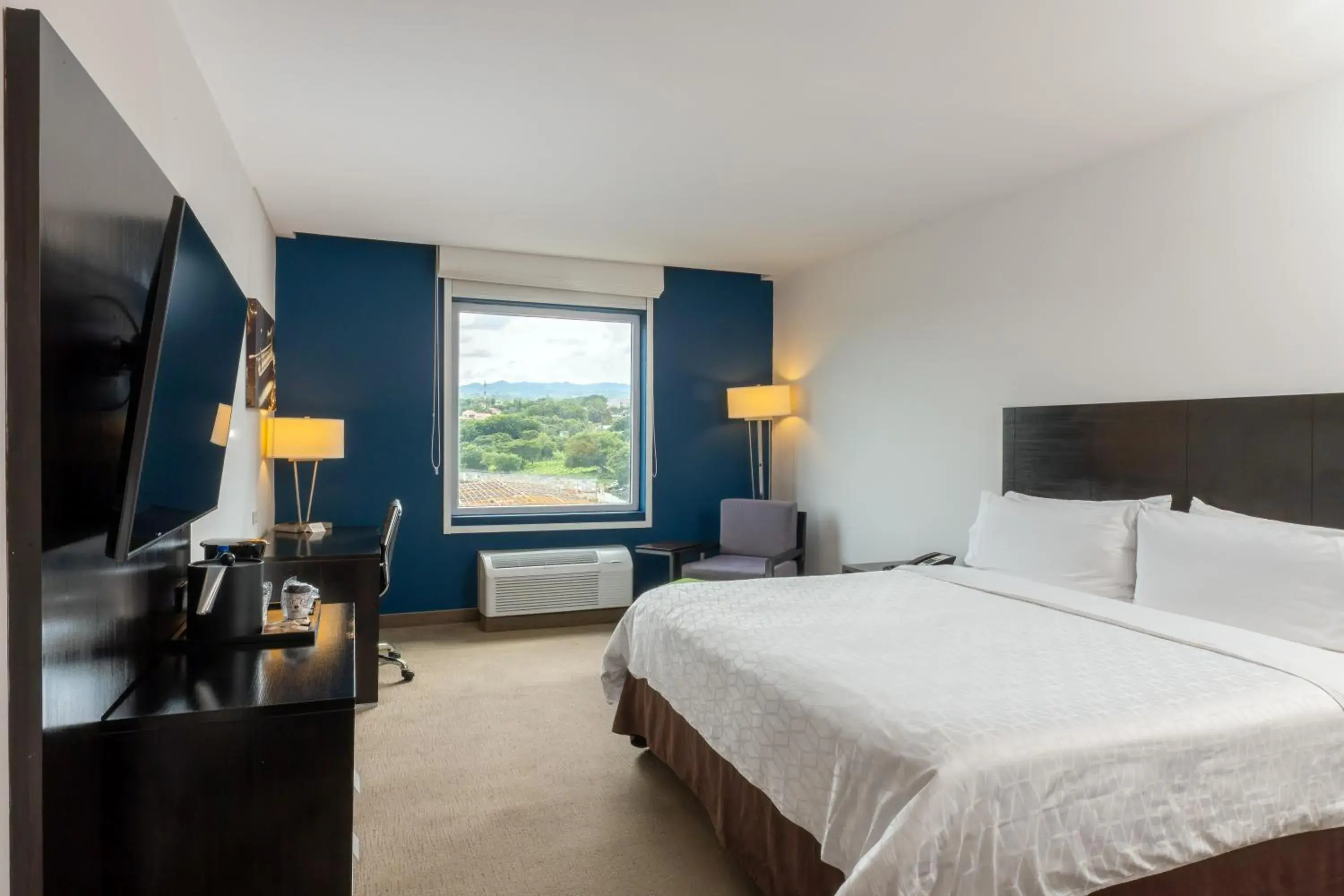 Standard King Room - single occupancy - Top Floor in Holiday Inn Express Managua by IHG Standard King Room - single occupancy - Top Floor in Holiday Inn Express Managua by IHG